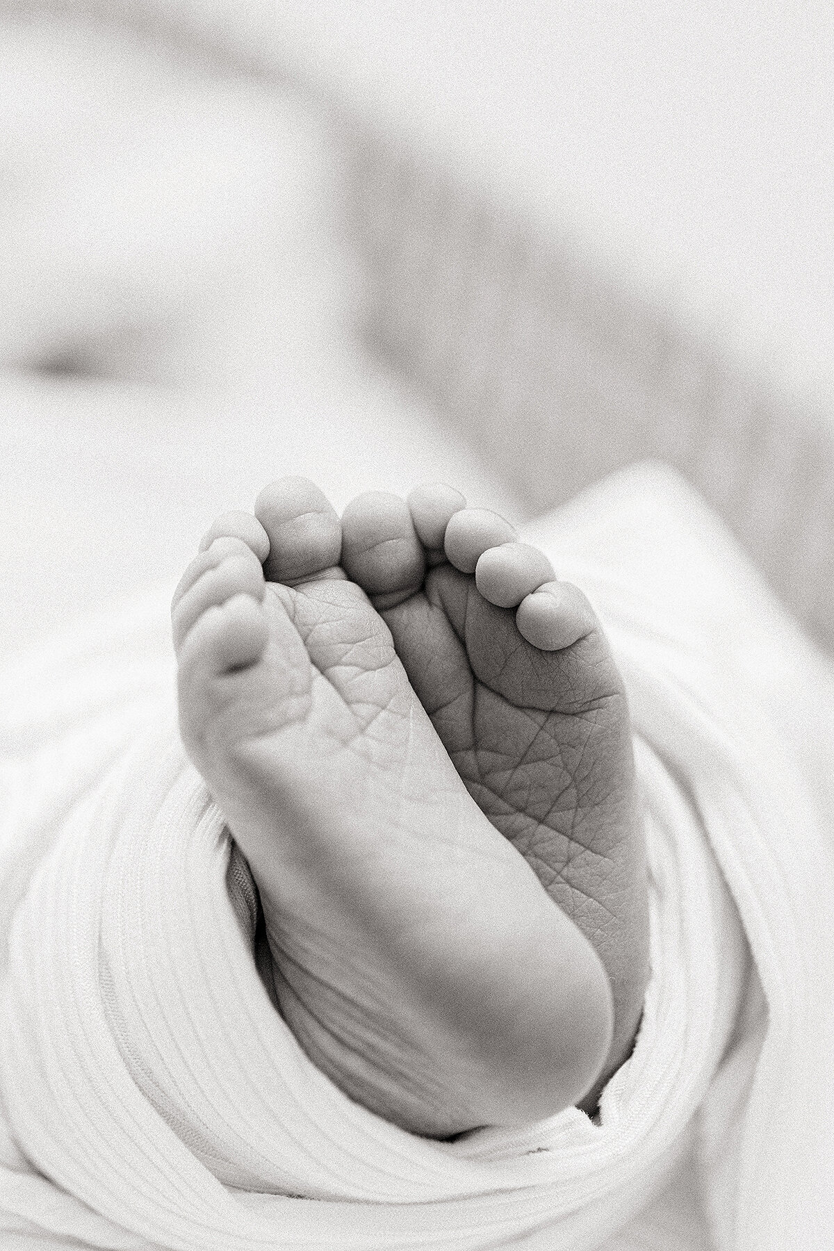 Close up detail photo of a newborn baby toes.