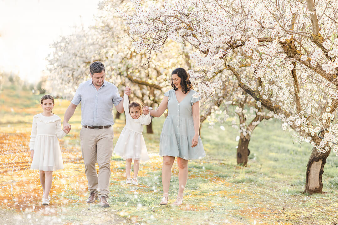 Brisbane family photographer showcases love and happiness in the springtime plum blossom orchard