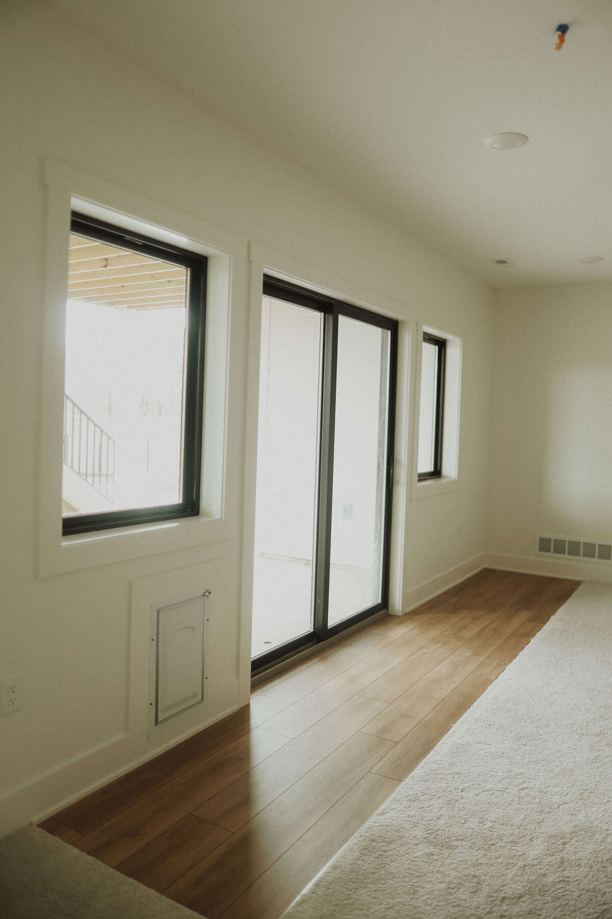 65-Finished-Basement-Waukee-Central-Iowa-Custom-Home-JRL-Builders-3F1A4904