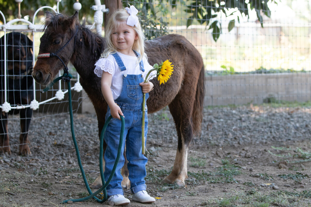 little girl with her precious horse