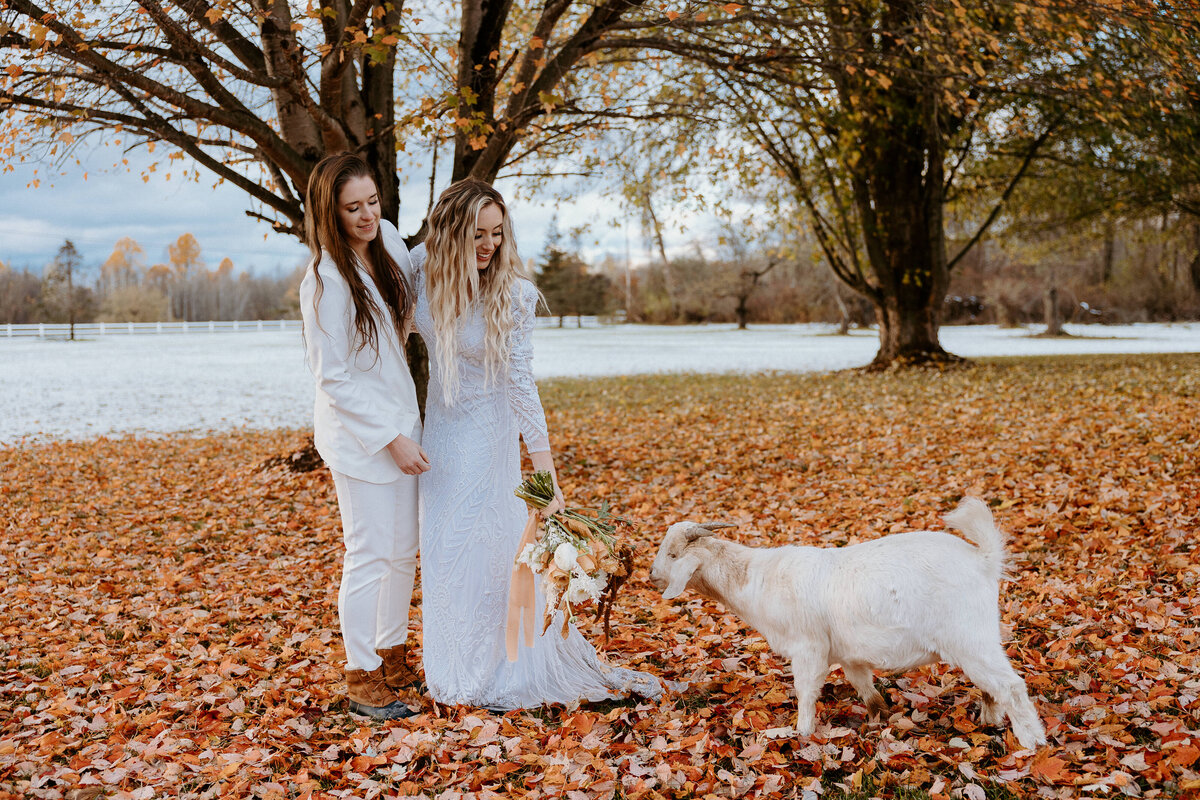 new-york-elopement-photographer (13)