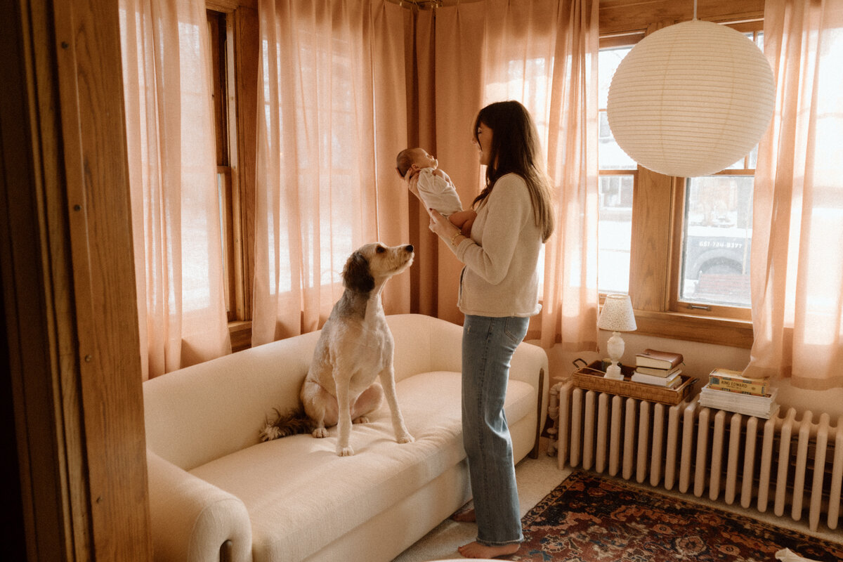 Showit Website Template and Custom Brand and Showit Web Design by With Grace and Gold