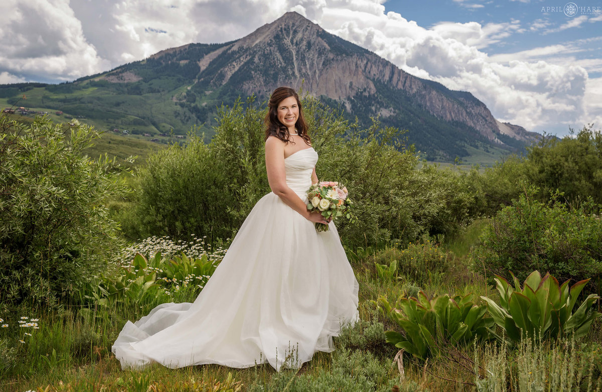 Crested Butte Wedding Photography during Summer in Colorado