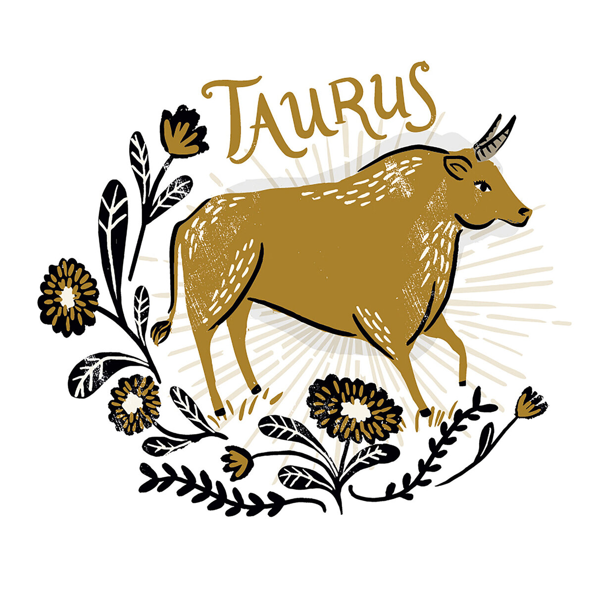 Taurus_RW2-01