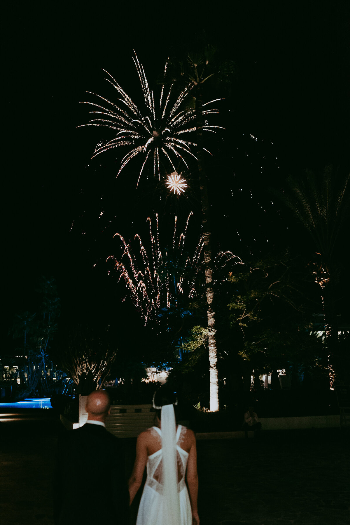 Bride & Groom watching fireworks explode in the dark sky above them