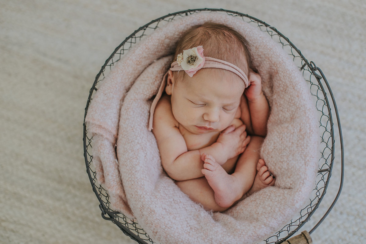 raleigh-newborn-photographers-Ella-0439