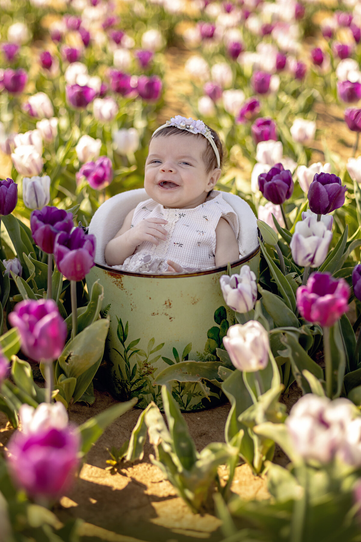 A happy infant girl in a white dress and floral headband smiles while sitting in a bucket in a field of tulips