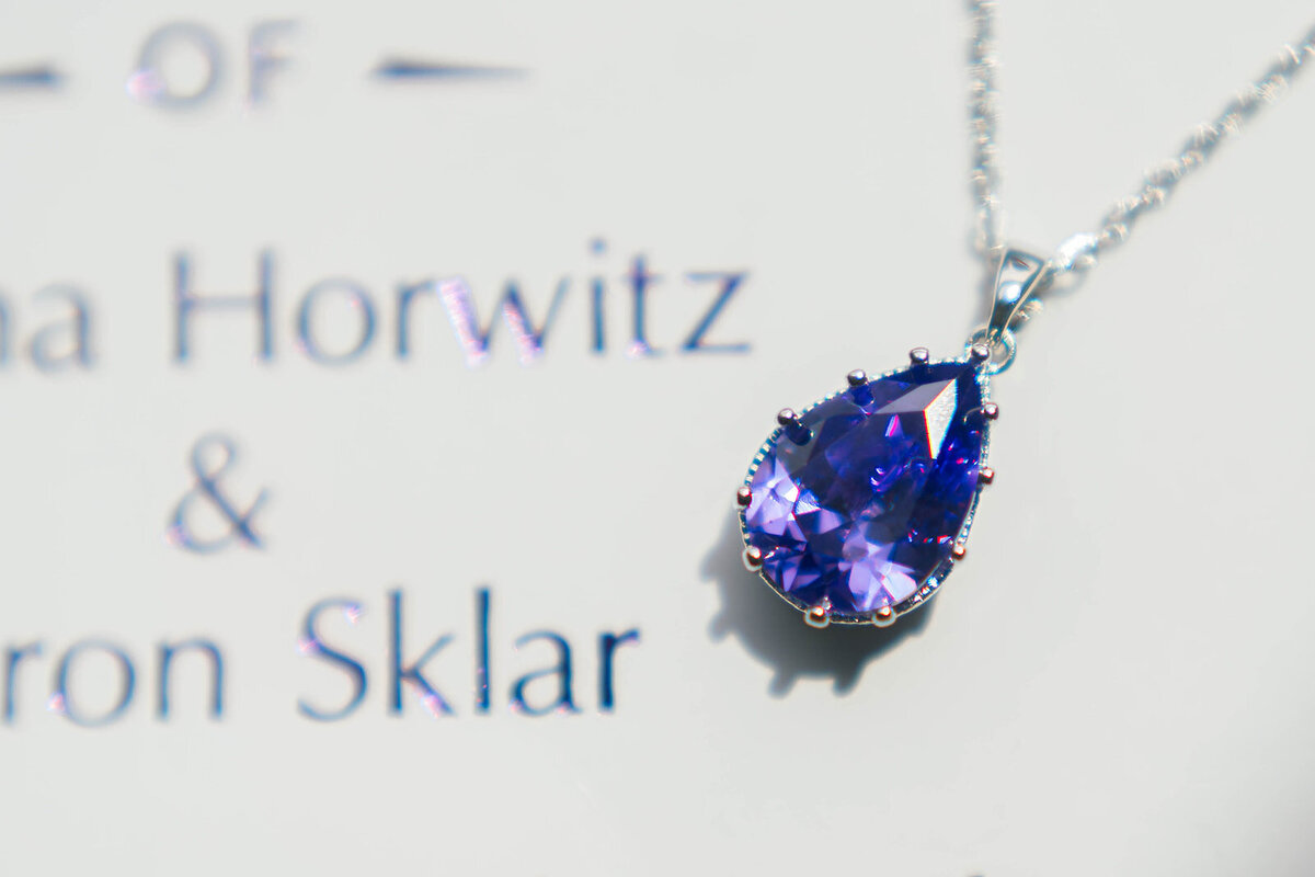 Eliana-Melmed-Photography-Chicago-LosAngeles-Jewish-WeddingPhotography-ElianaSklar-Details-00019