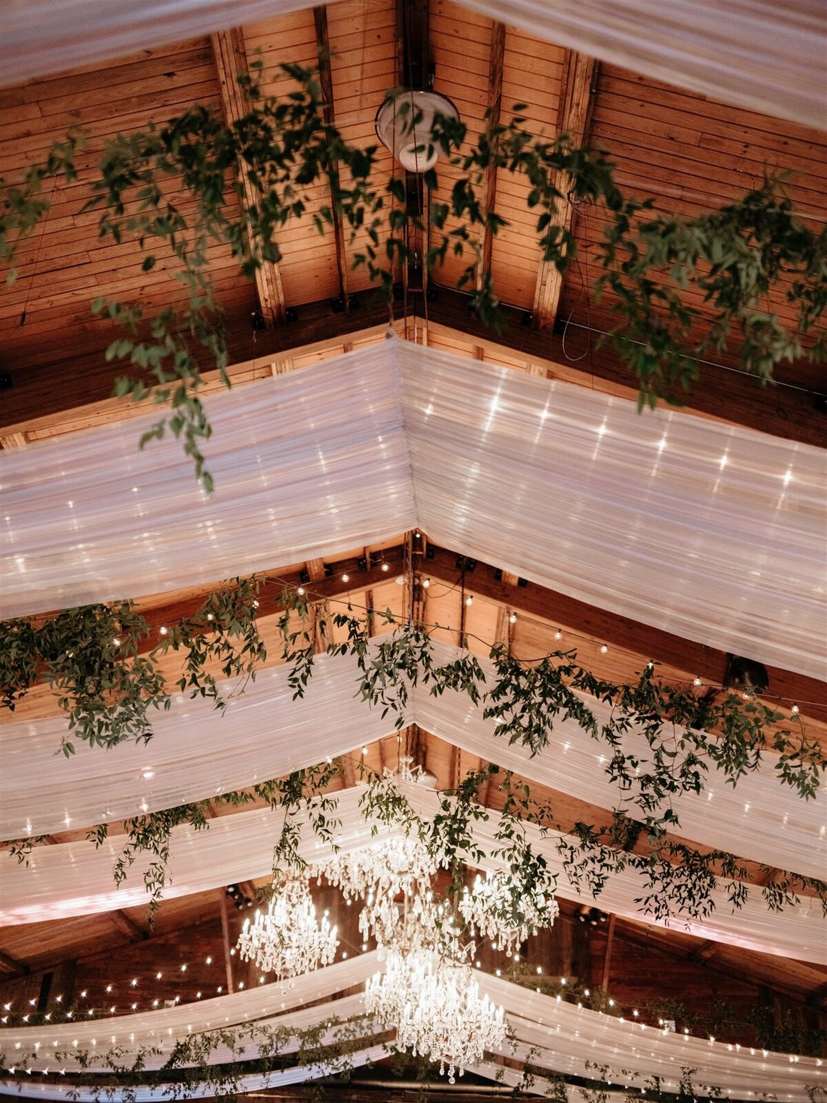 Stunning detail shot of white fabric swags hanging from ceiling alongside twinkle lights and large branches of greenery at Cedar Lakes Estate wedding venue reception space.