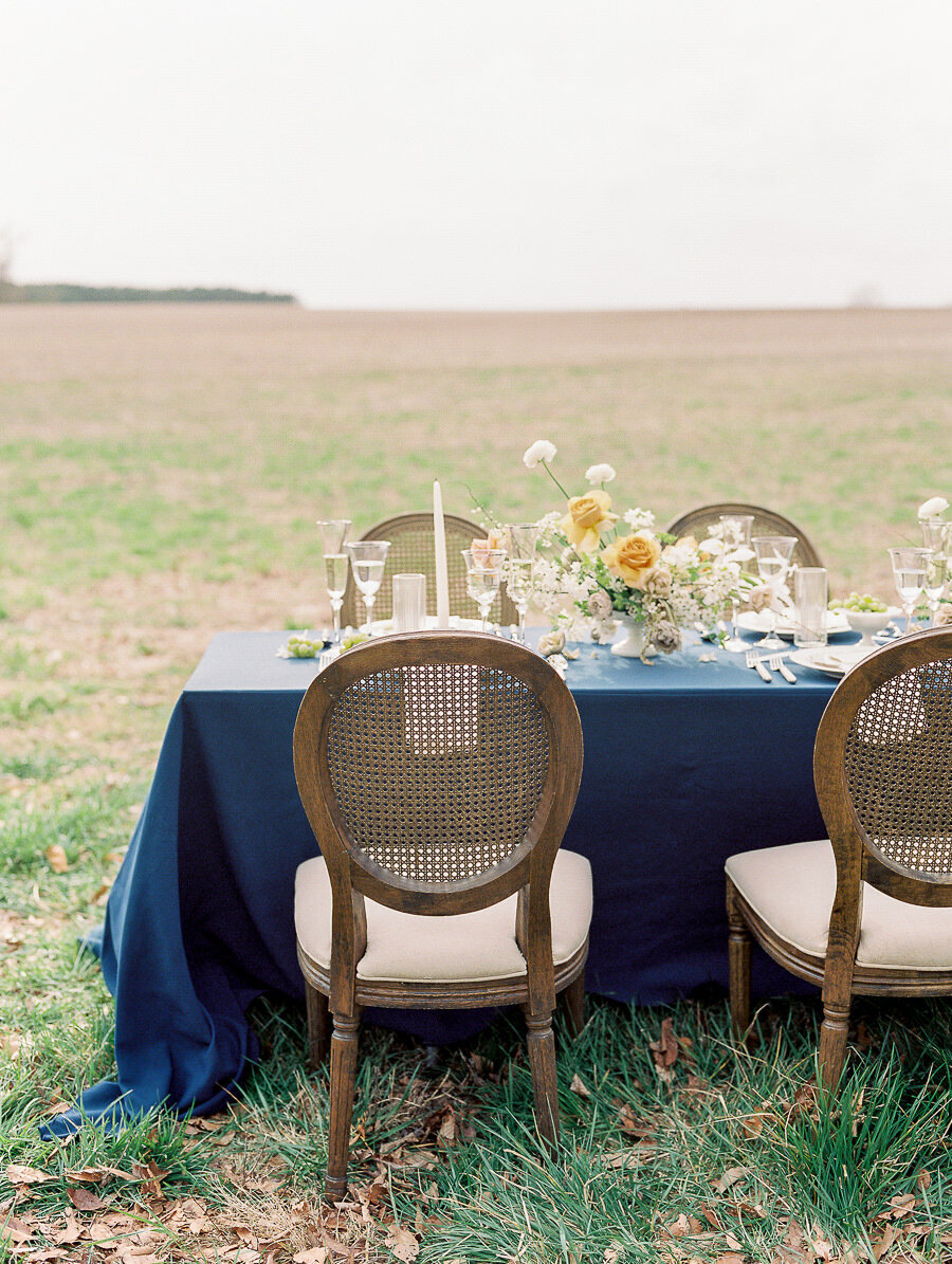 Graceful_Countryside_Fine_Art_Bridal_Maryland_Wedding_Megan_Harris_Photography-83