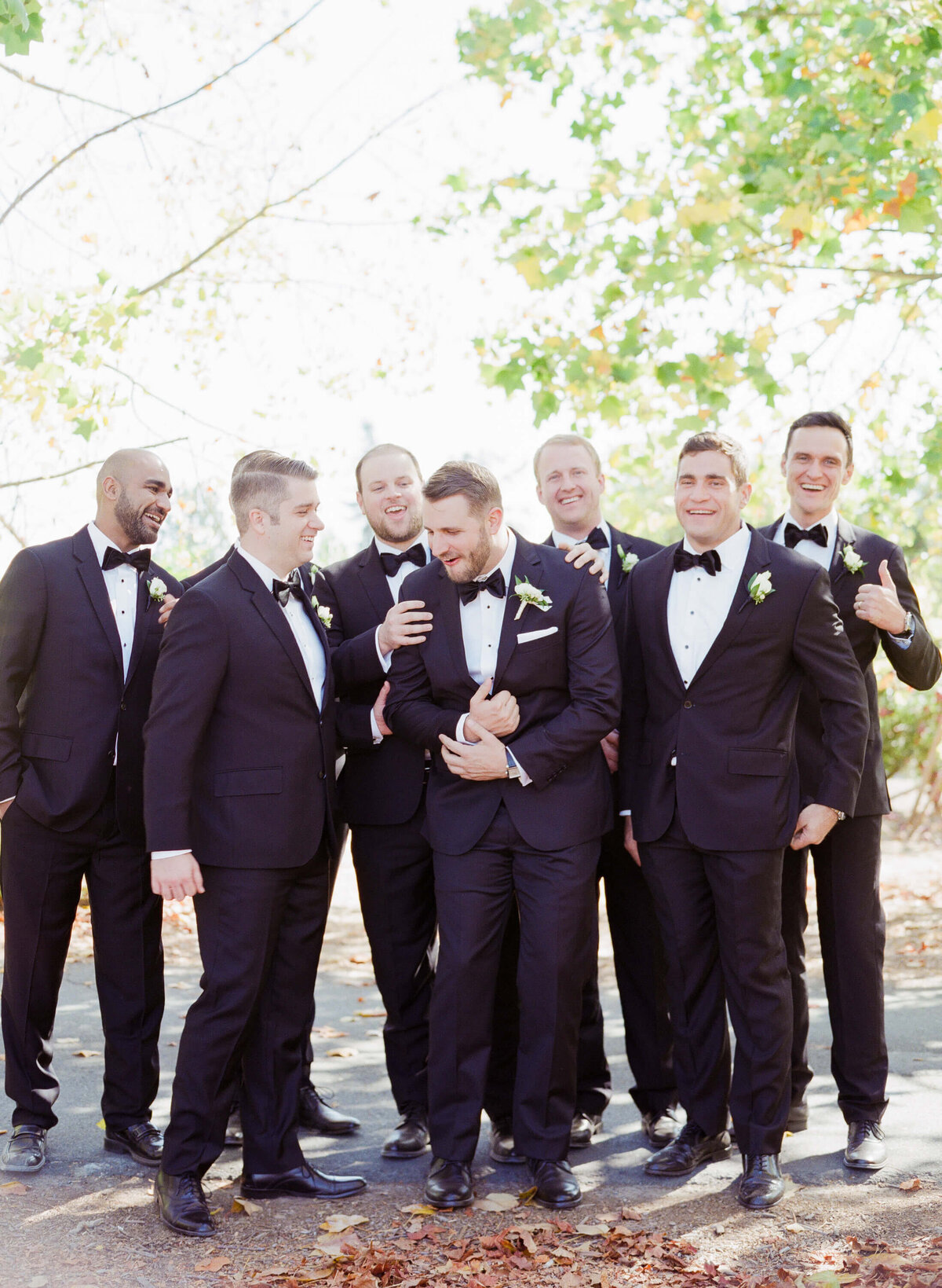 Groom for a vineyard wedding shares a moment of laughter with his best men. Pictured by Vineyard Wedding Photographer Robin Jolin.