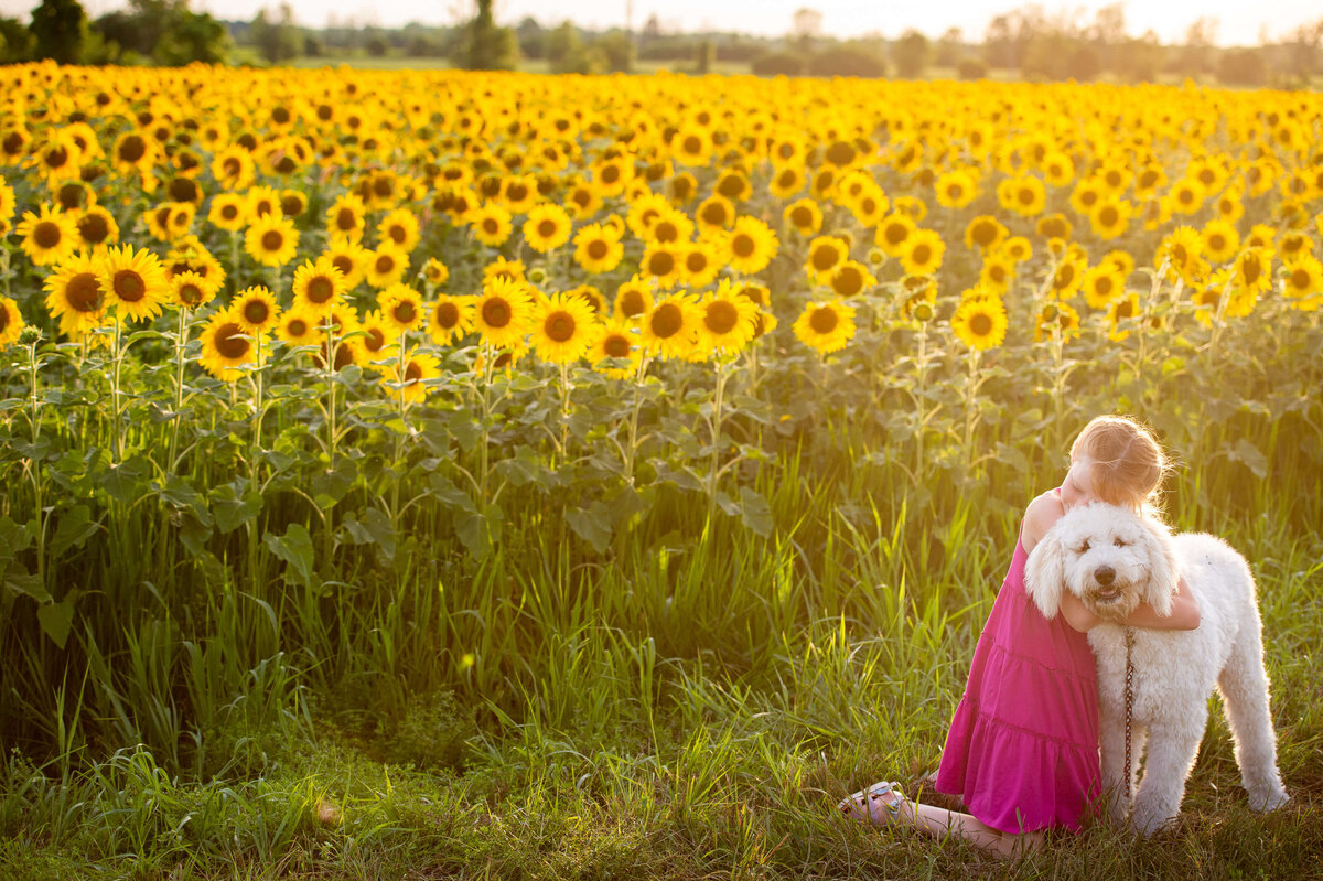 a little girl hugs her dog during family photography session in sunflowers  in Ottawa