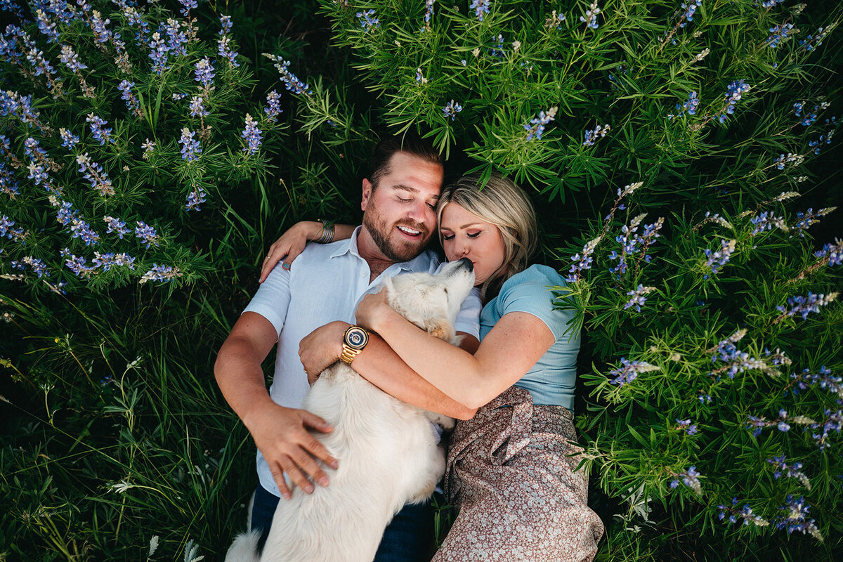 Crested Butte Wildflower Engagement