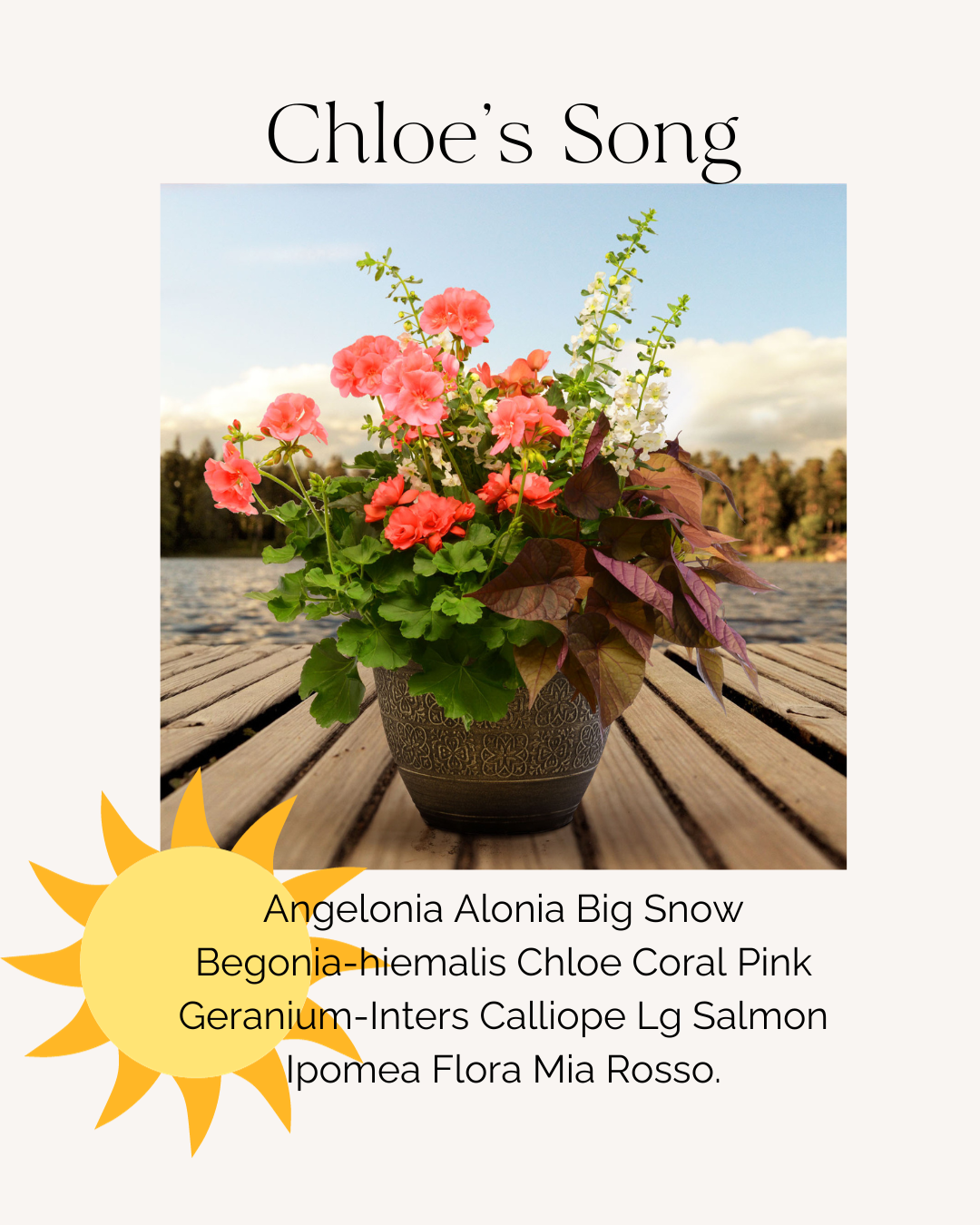 Chloe's Song(1)
