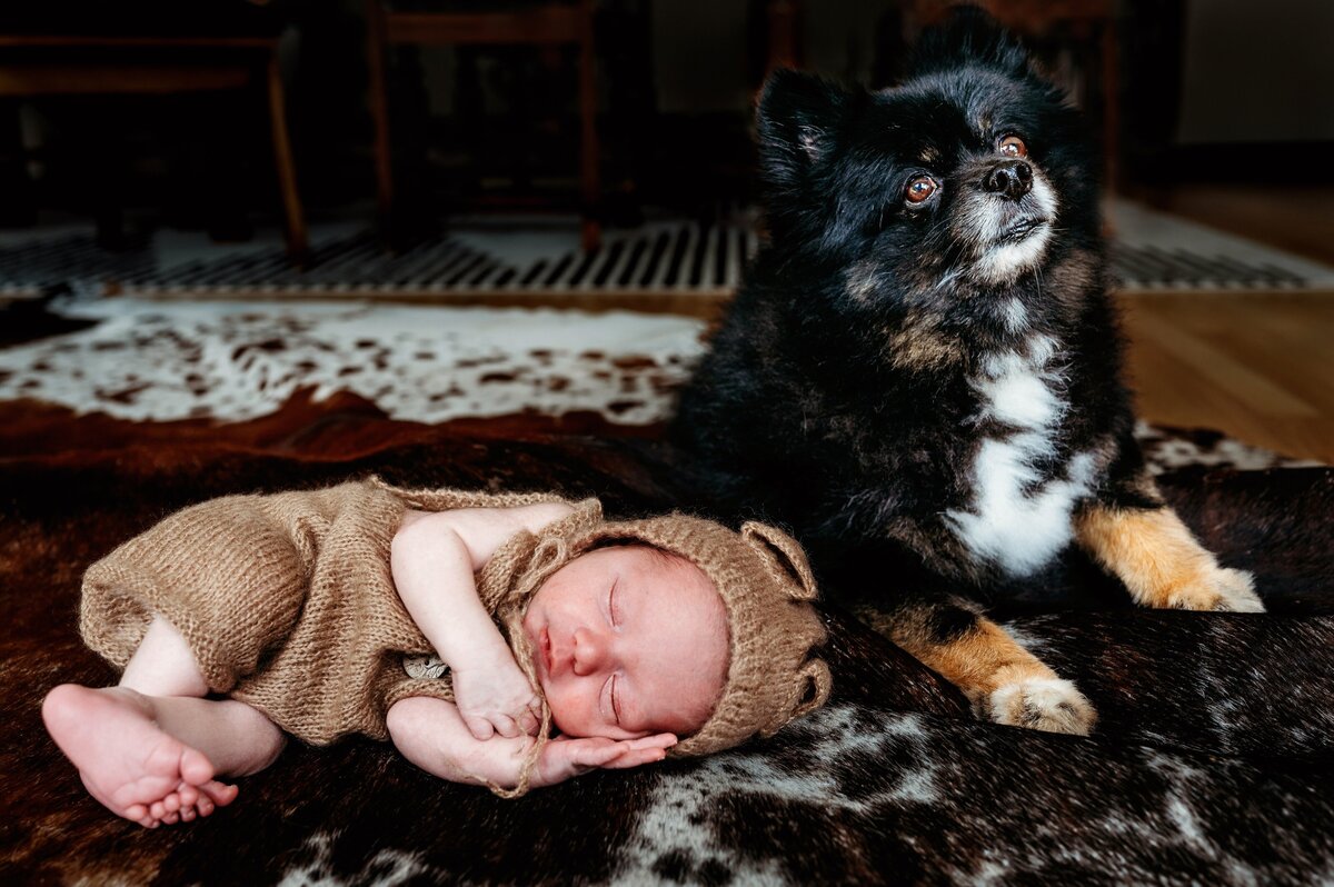 Newborn and dog on rug McKennaPattersonPhotography