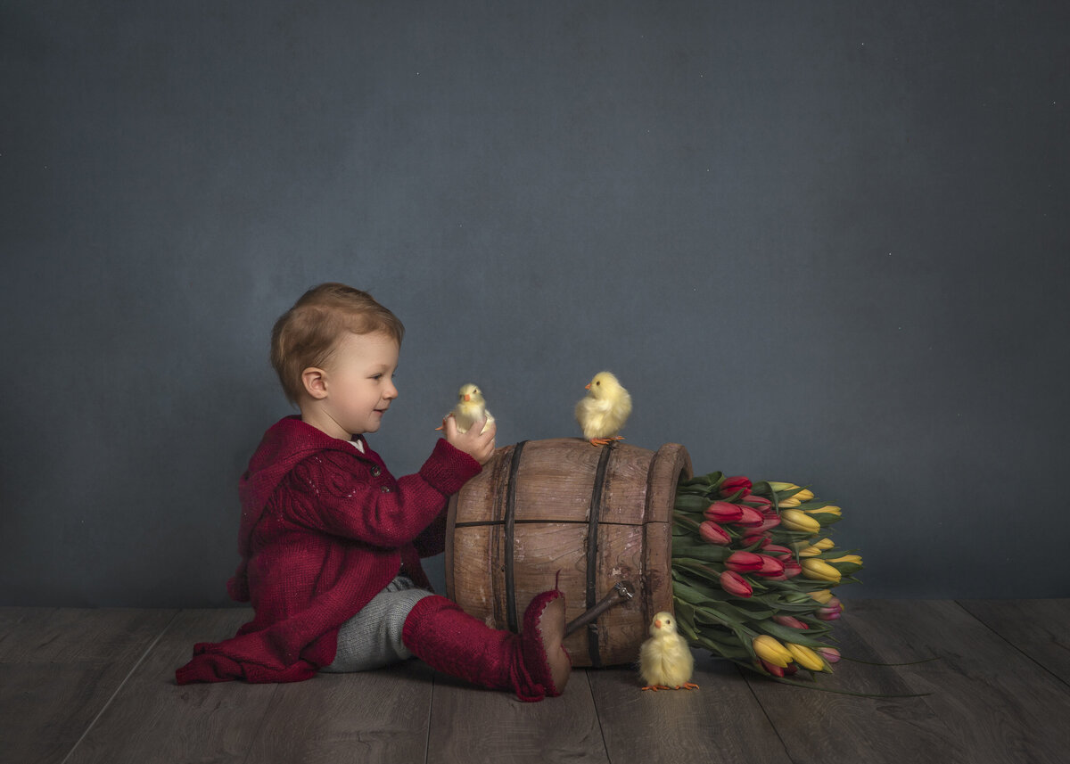Toddler dressed in red holds one of the three yellow ducklings sitting near a tipped over barrel of tulips.