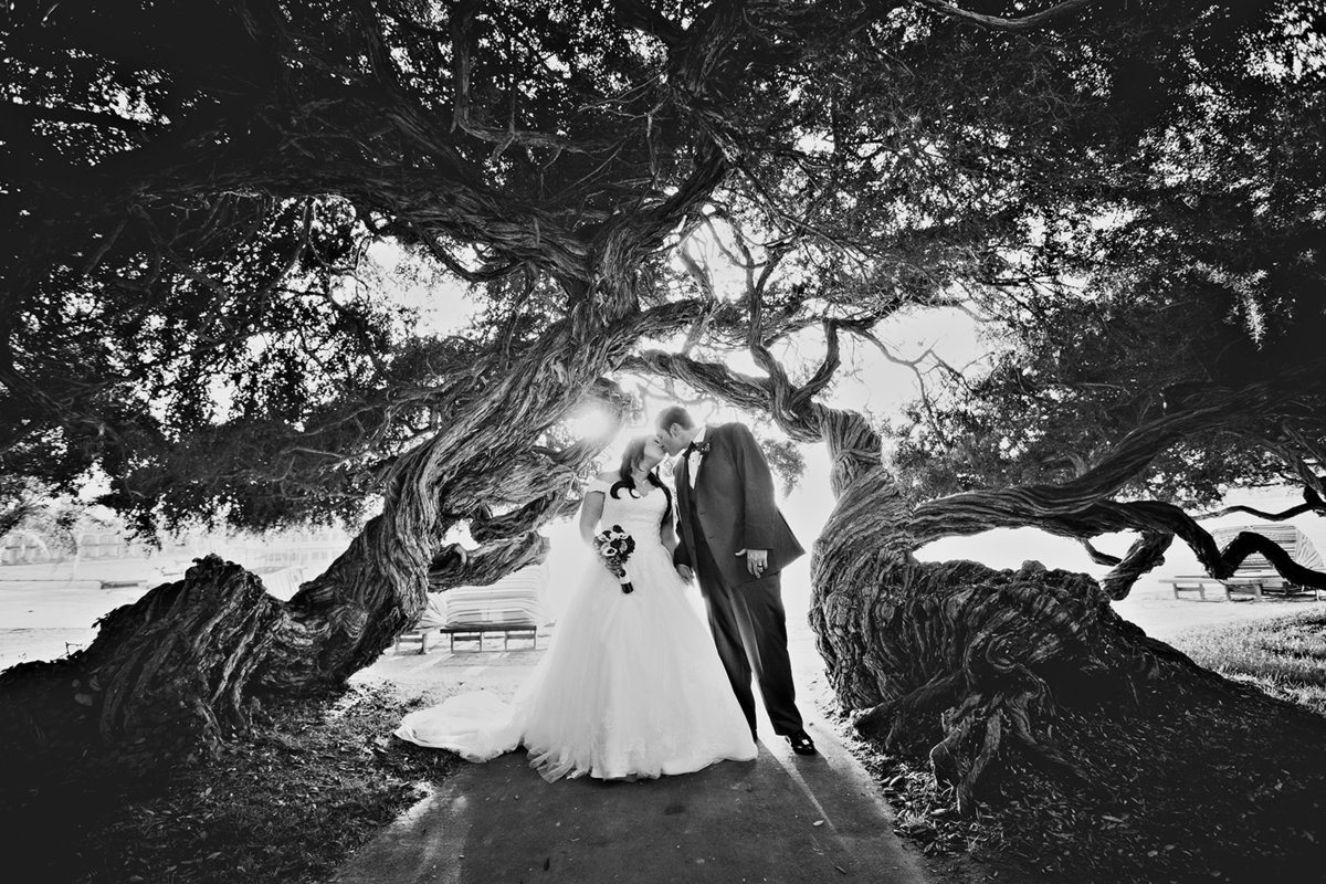 Sunset Cliffs wedding photos trees black and white