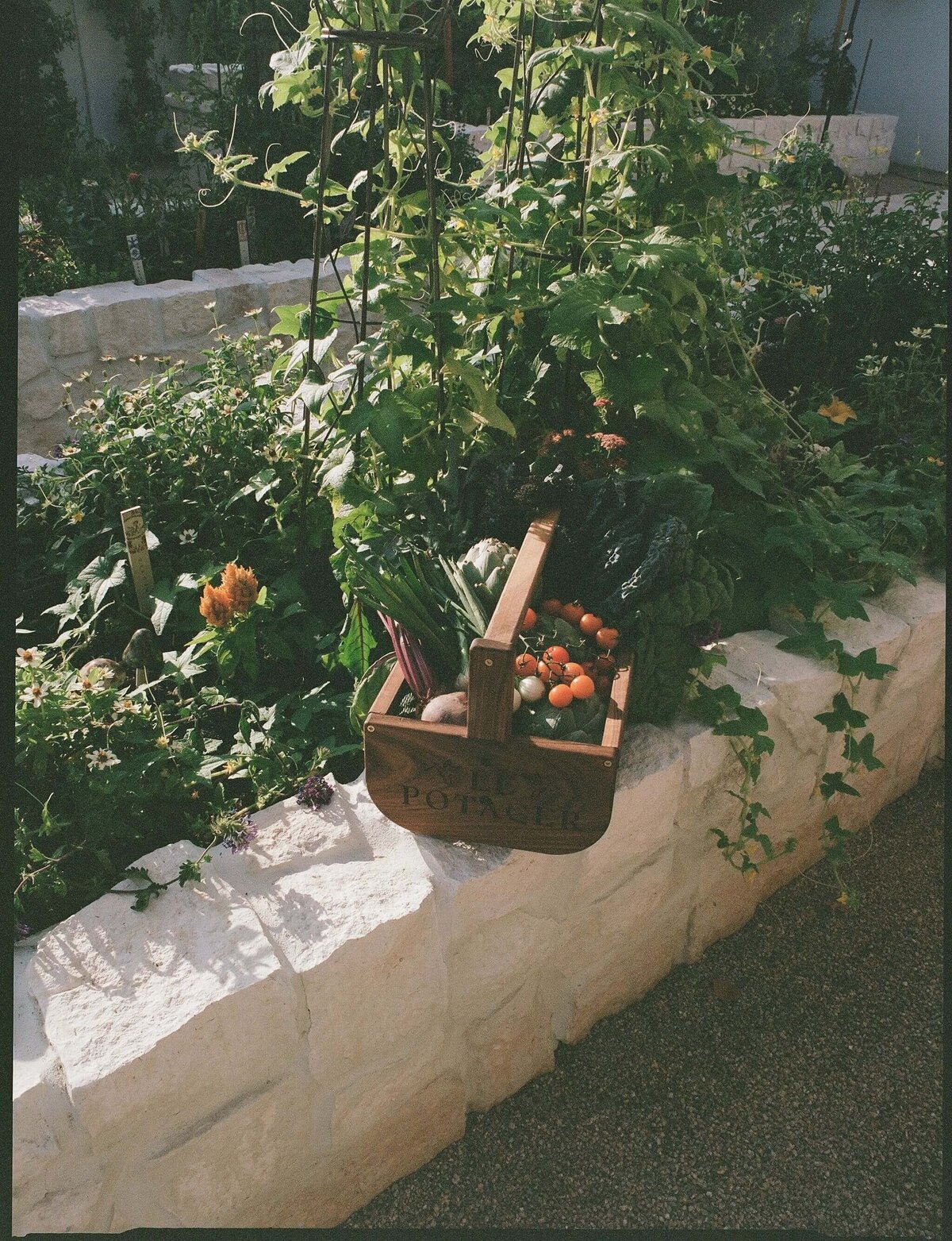 Harvest-Basket-LePotager-Hacienda