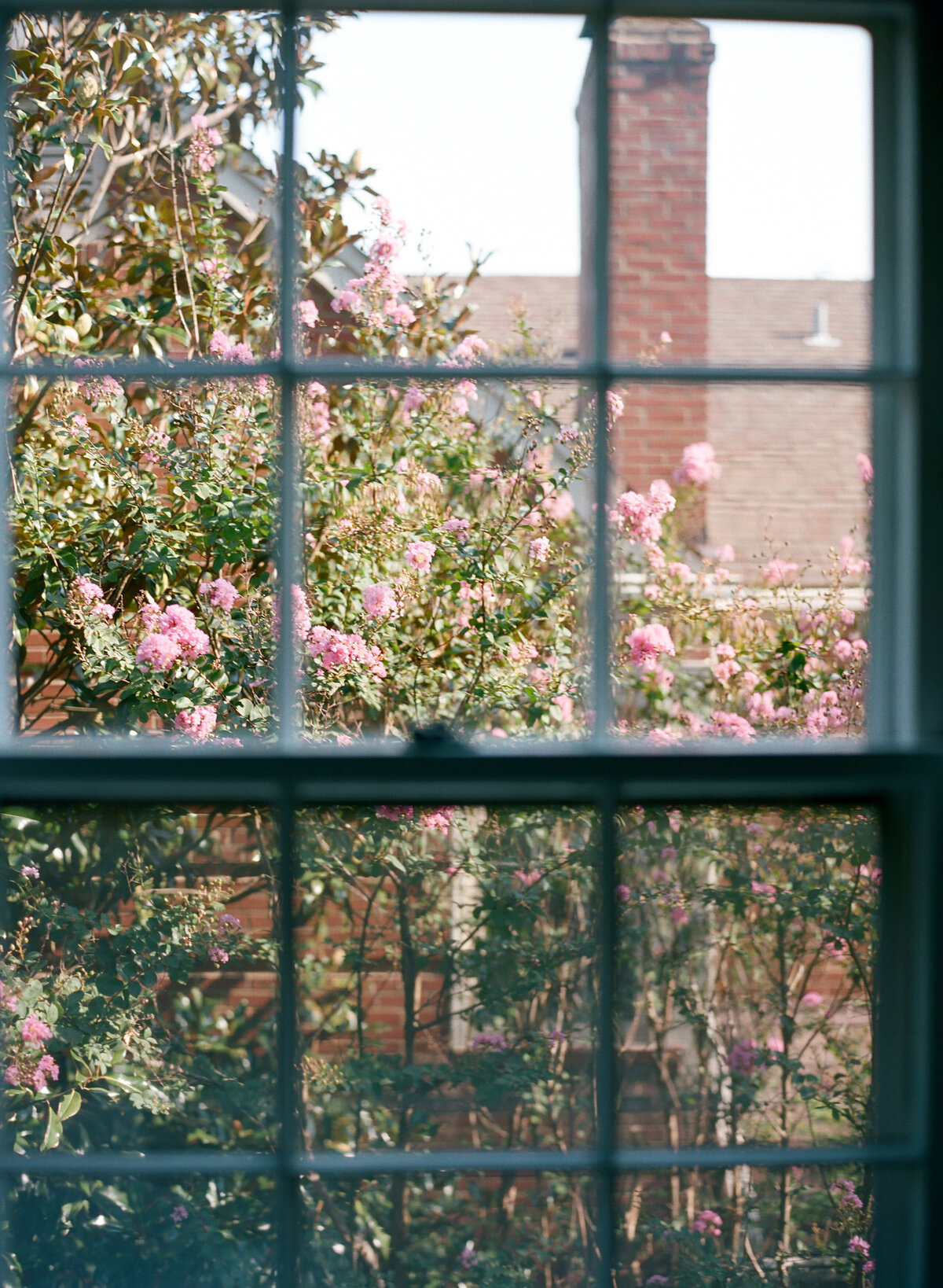 st-louis-newborn-030