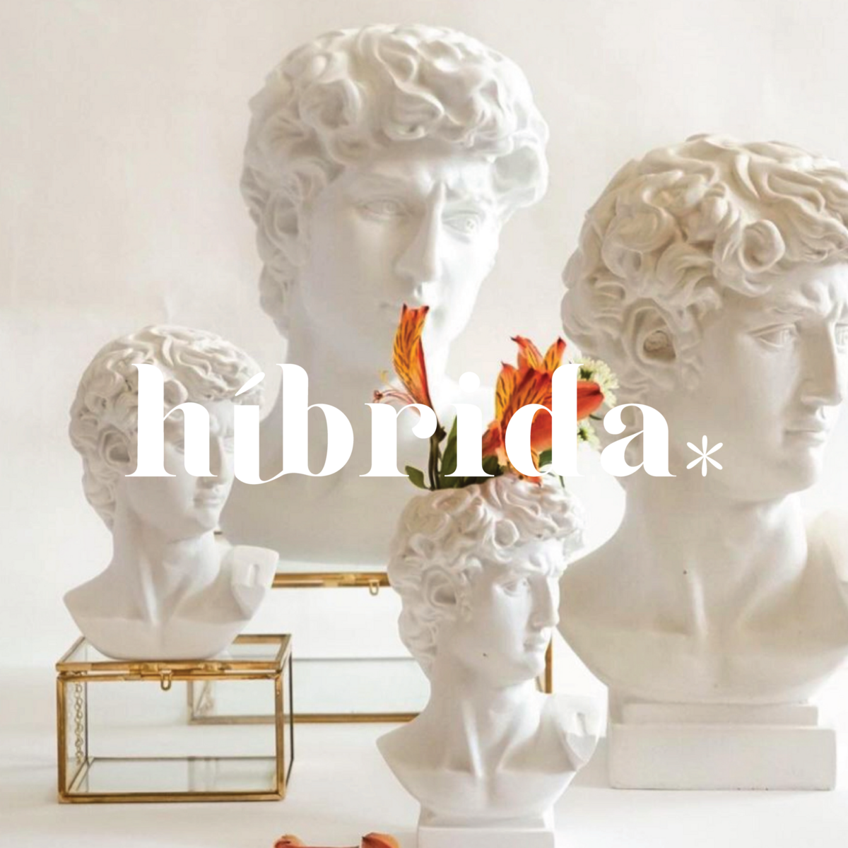Hibrida-Rebranding2020_Entrega-38