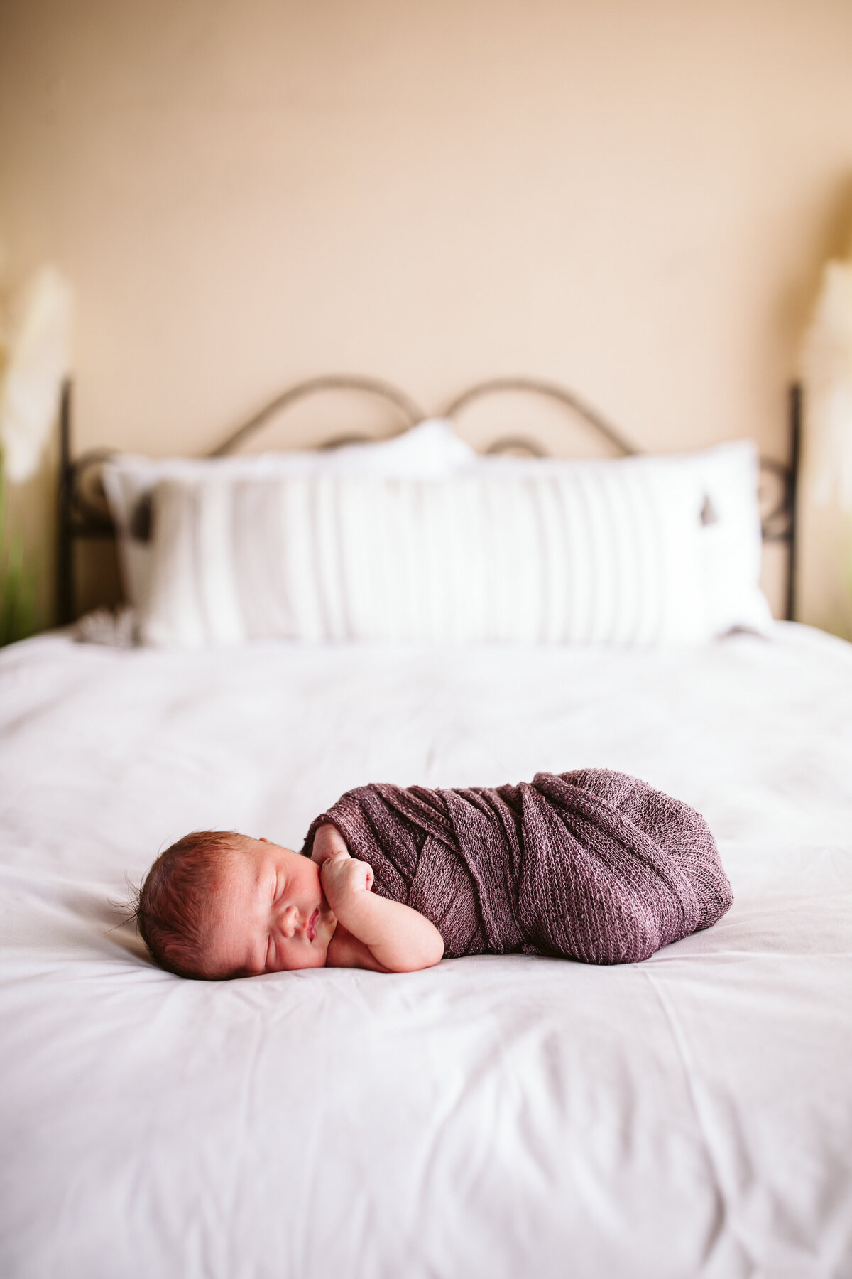 Minnesota-Alyssa Ashley Photography-newborn session-26