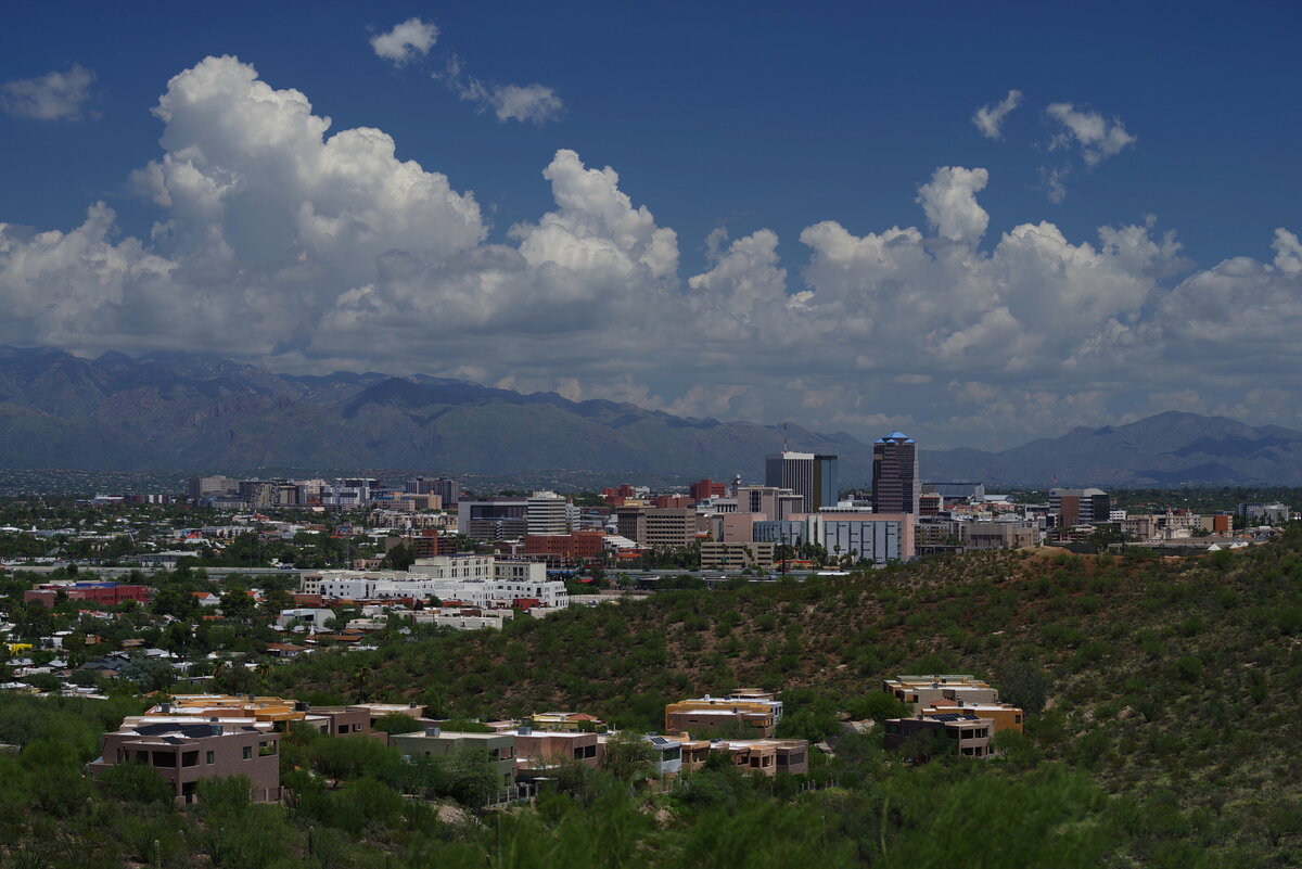 IMGP0601