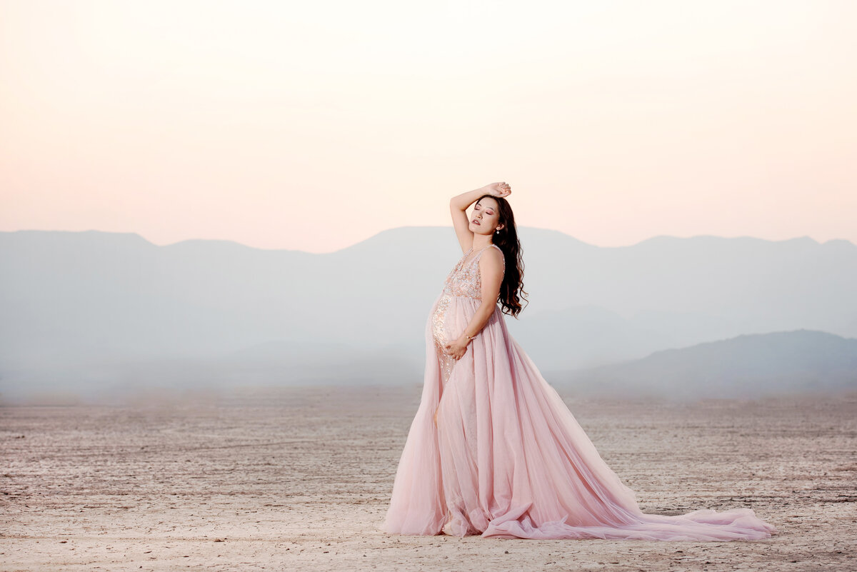 st-louis-maternity-photographer-pregnant-mother-posed-in-desert-in-pink-flowing-dress