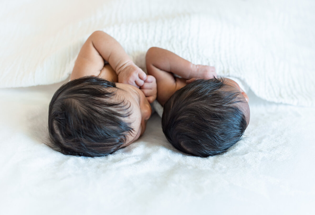 Perkins Twins Newborn Gallery059