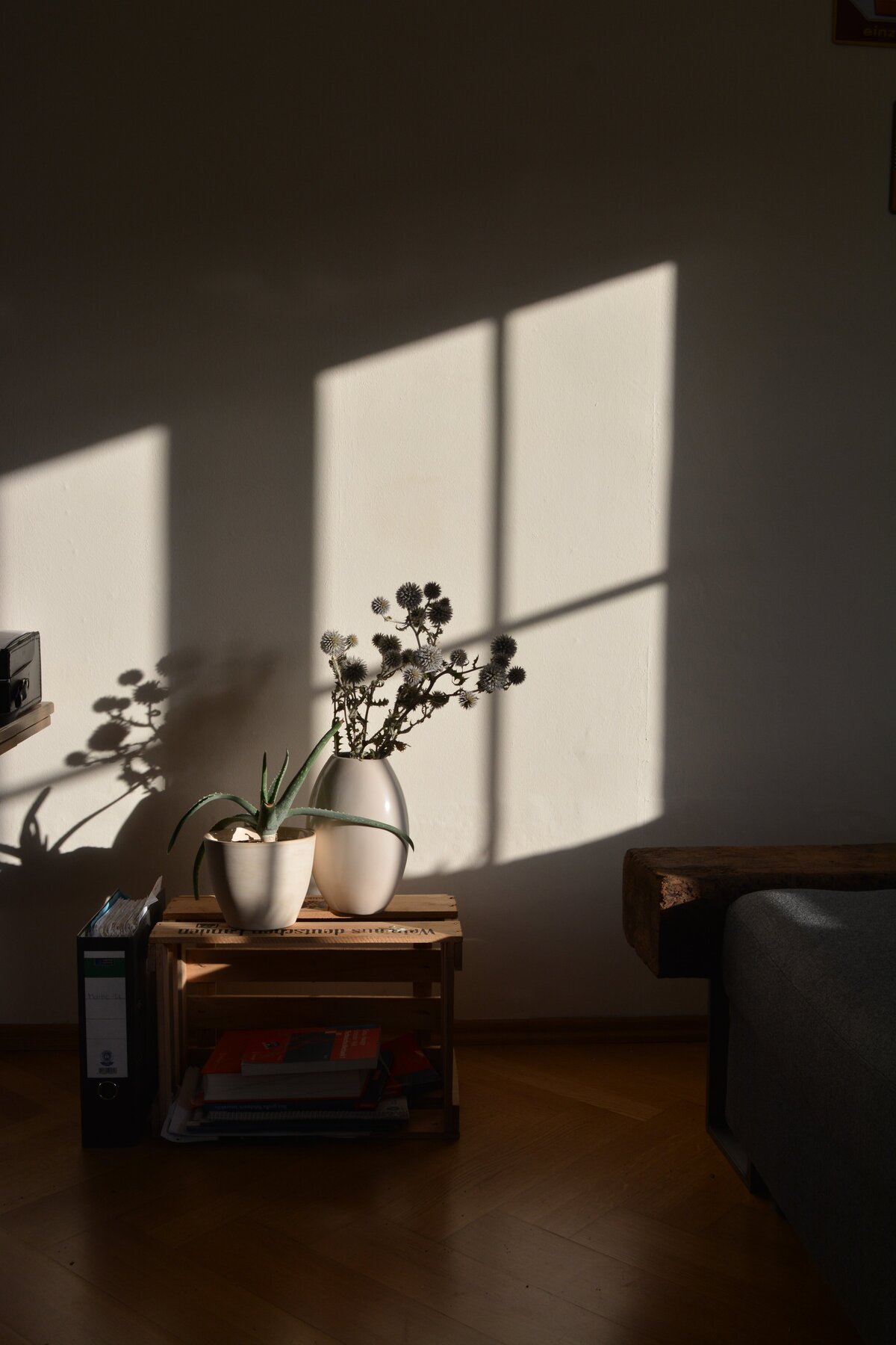michael-ender-dpUcYd00n9I-unsplash