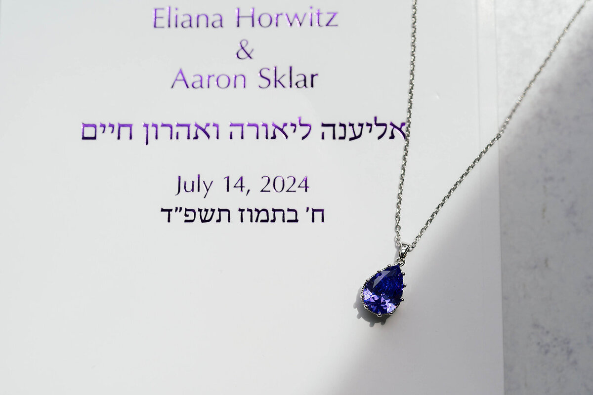 Eliana-Melmed-Photography-Chicago-LosAngeles-Jewish-WeddingPhotography-ElianaSklar-Details-00013