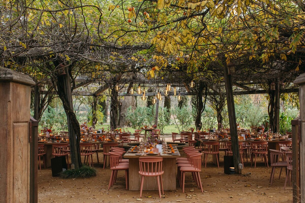 Campovida wedding grapevine arbor pink chairs