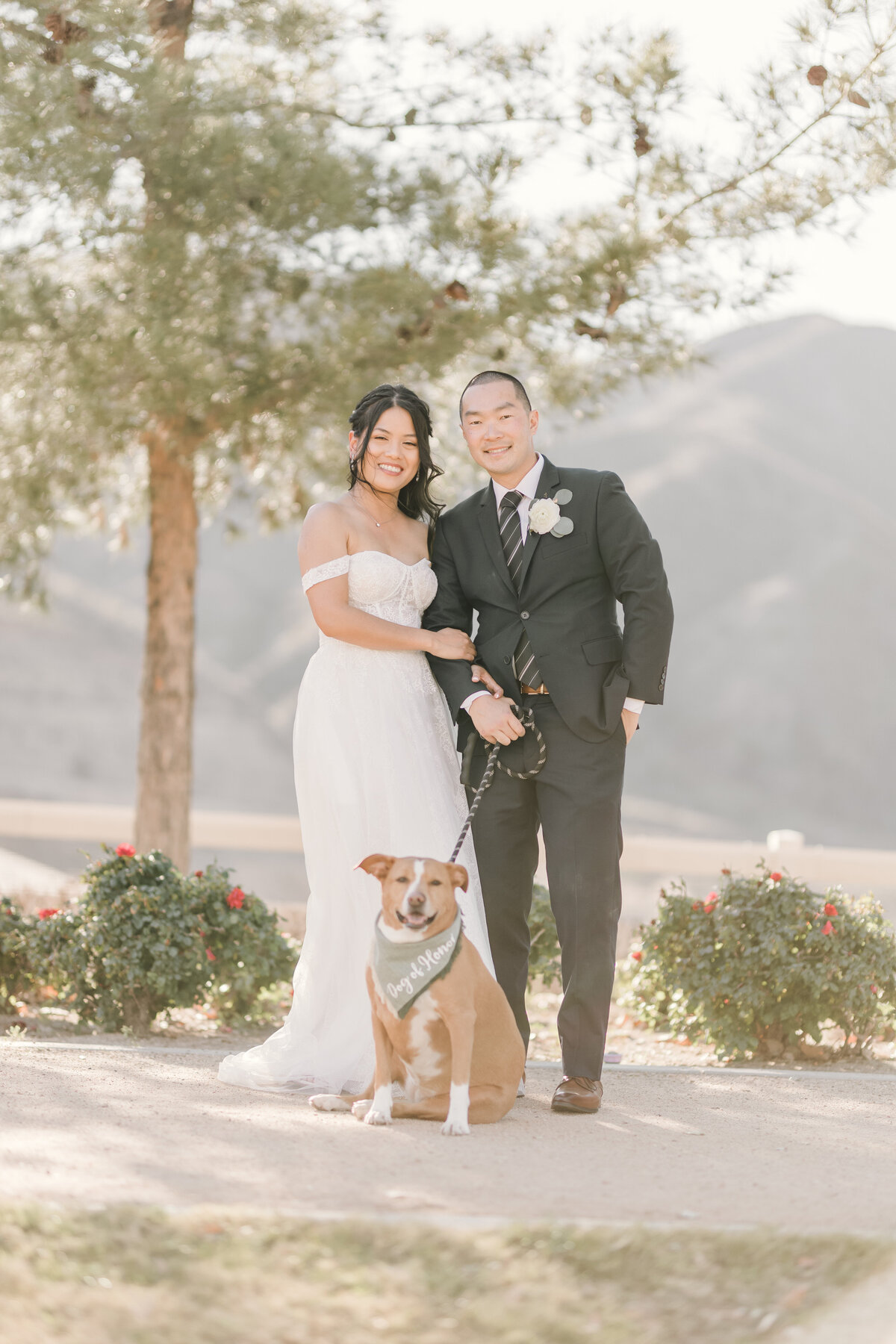 Bride & groom pose with their Fur Baby in the Inland Empire