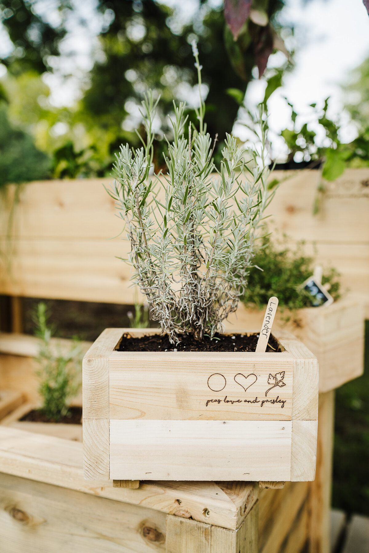 cedar garden herb boxes