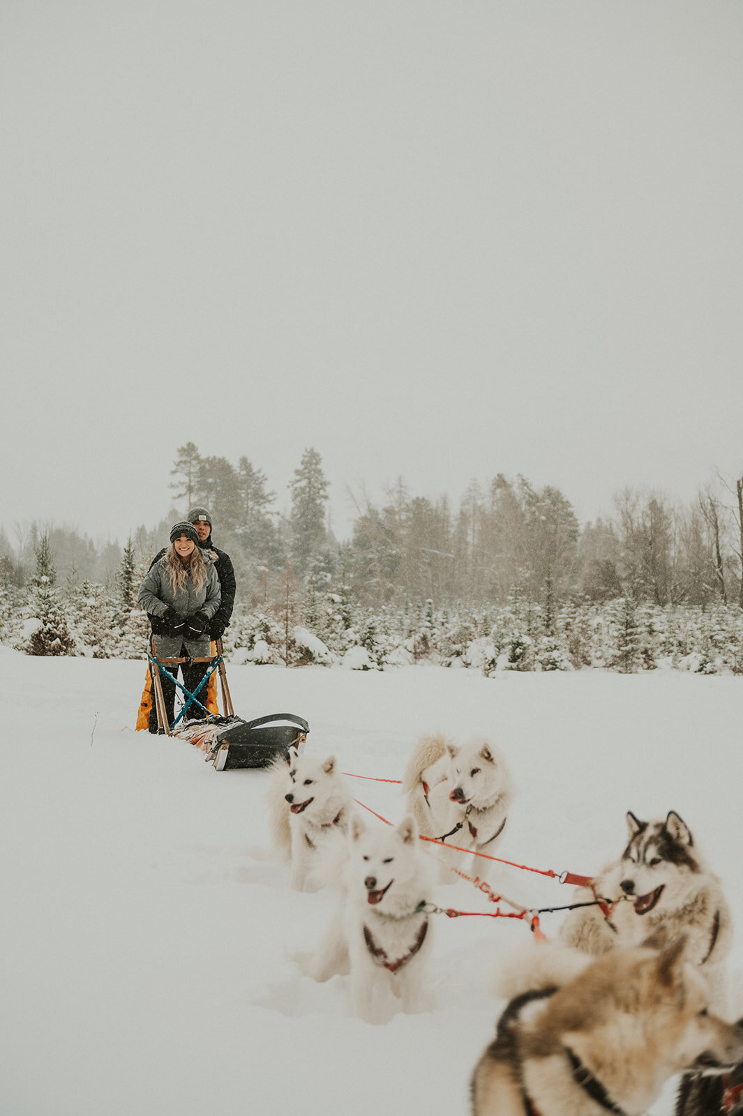 winter-montana-dog-sledding-proposal-presley-gray-photo-7357