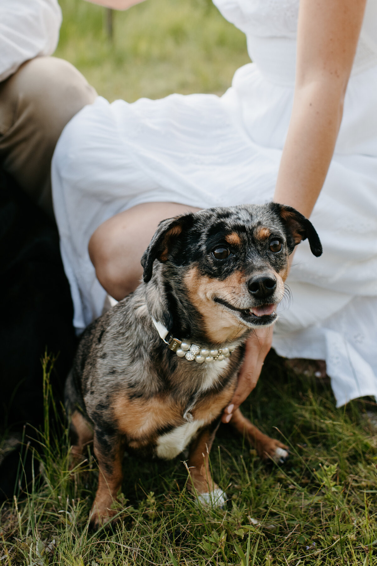 SMC2024-06-19 Rachel & Cowan Engagment392974-8