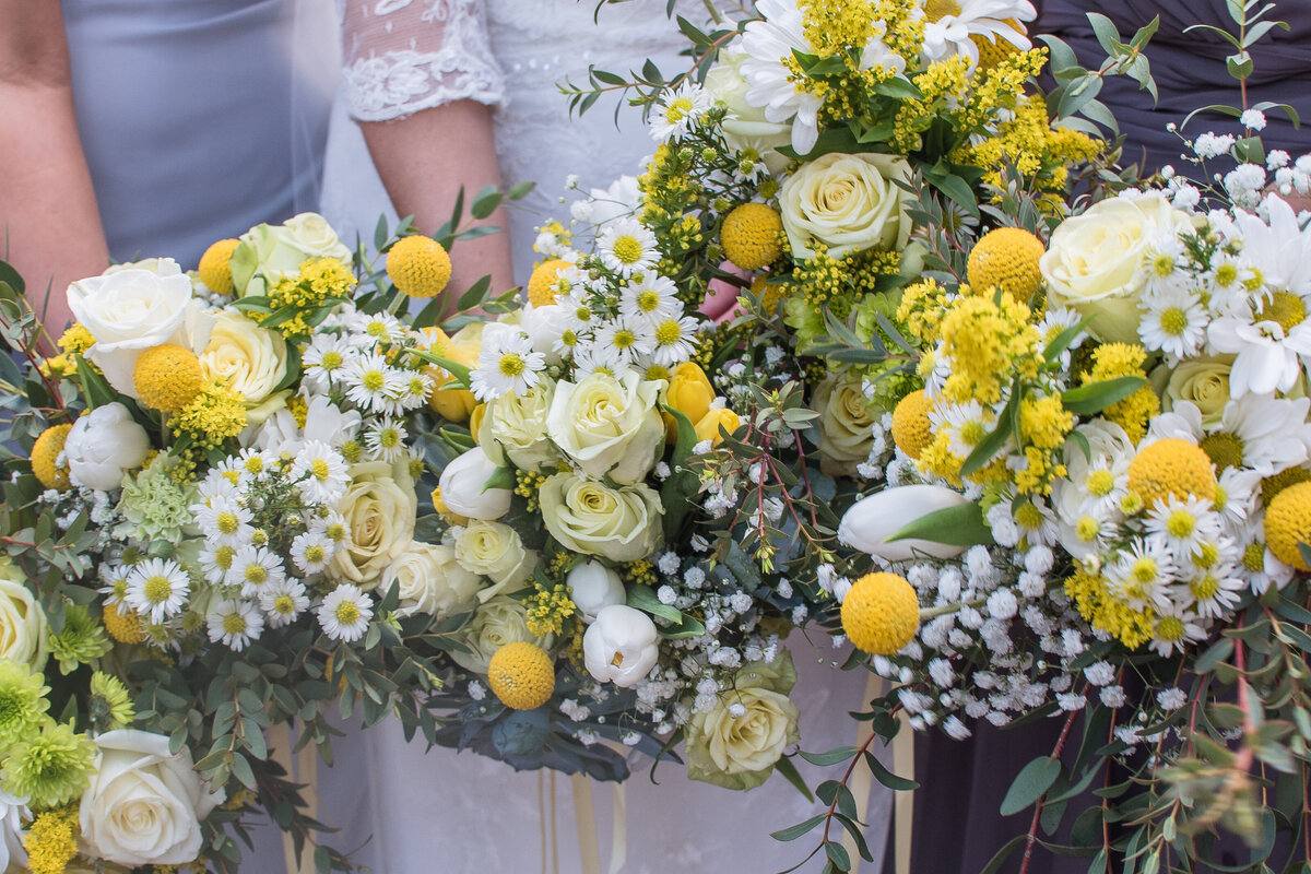 Meaghan+CoreyMarried4-28-18BrightLightsImagery-384