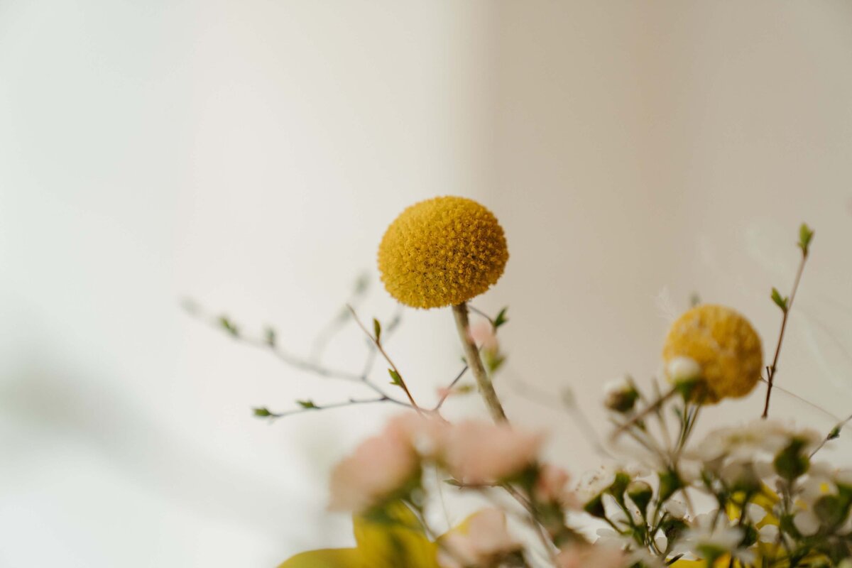 pexels-cottonbro-4268521
