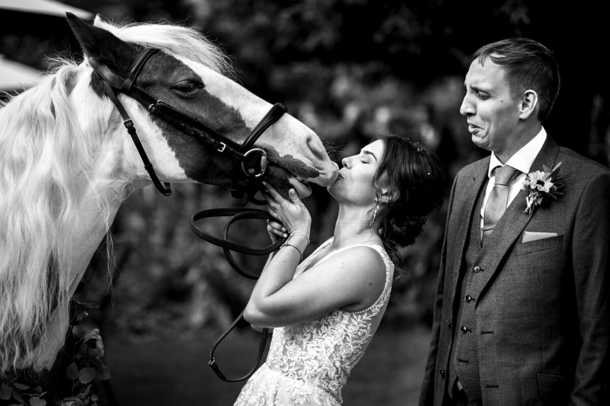 bride kissing a horse
