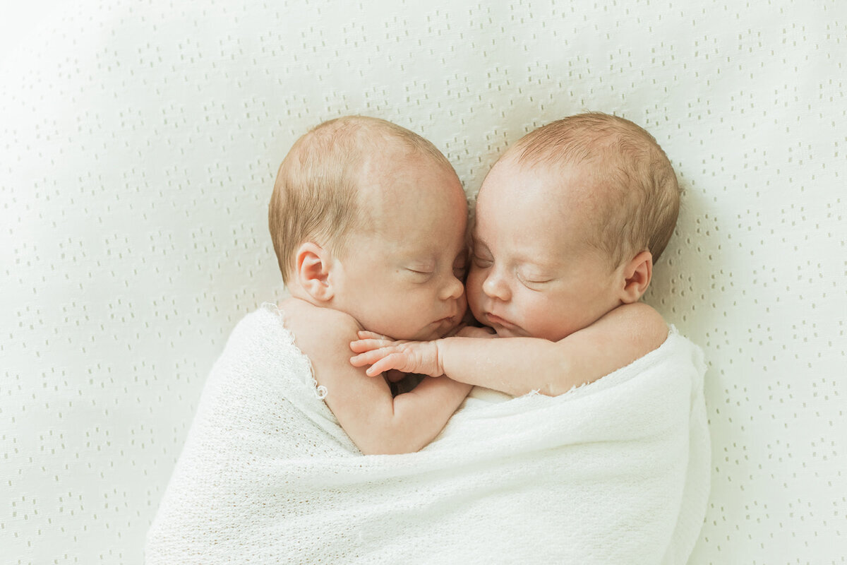 newborn twins hug each other while sleeping and wrapped in a blanket