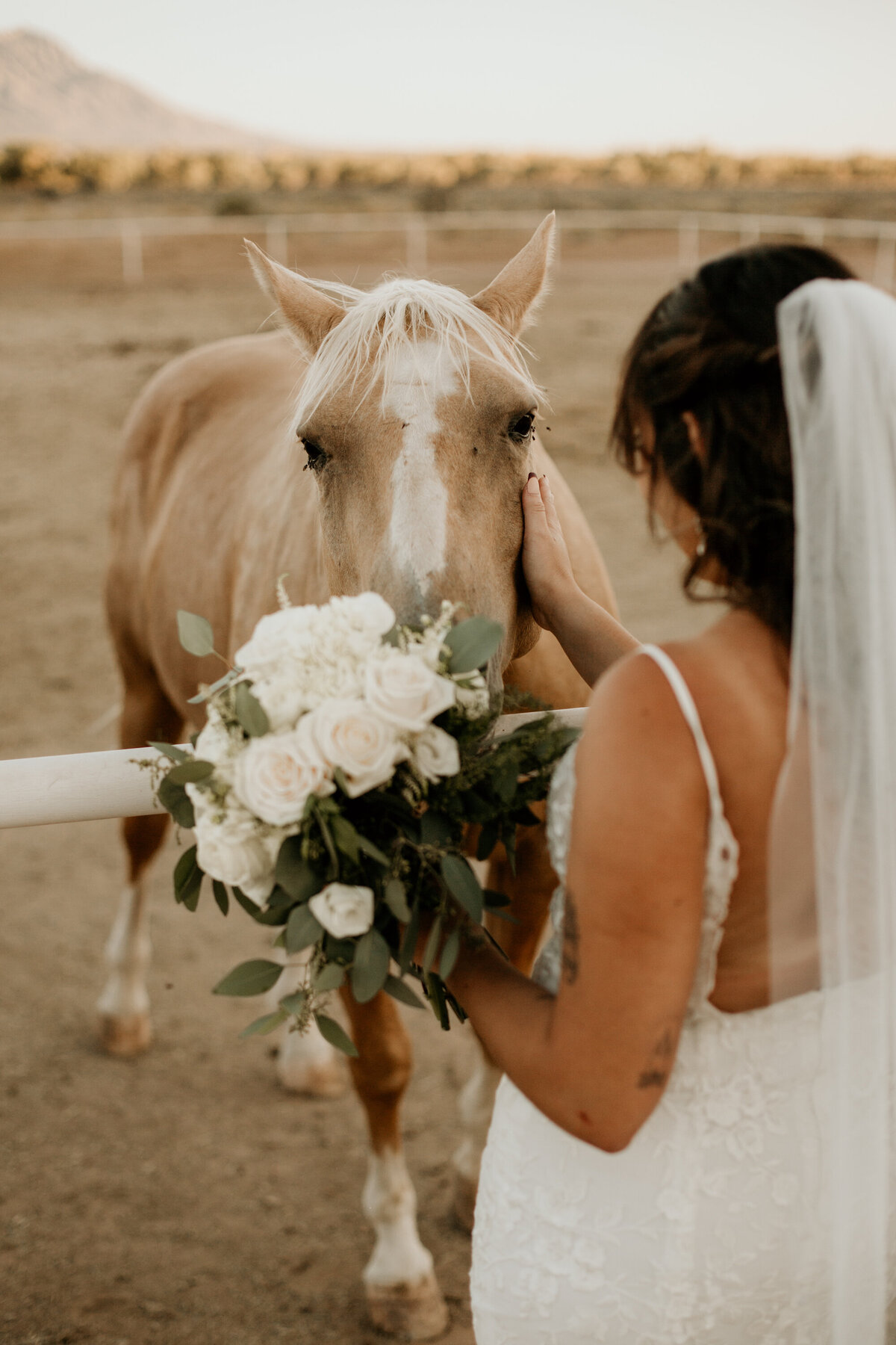 bride petting a horse in the Albuquerque desert