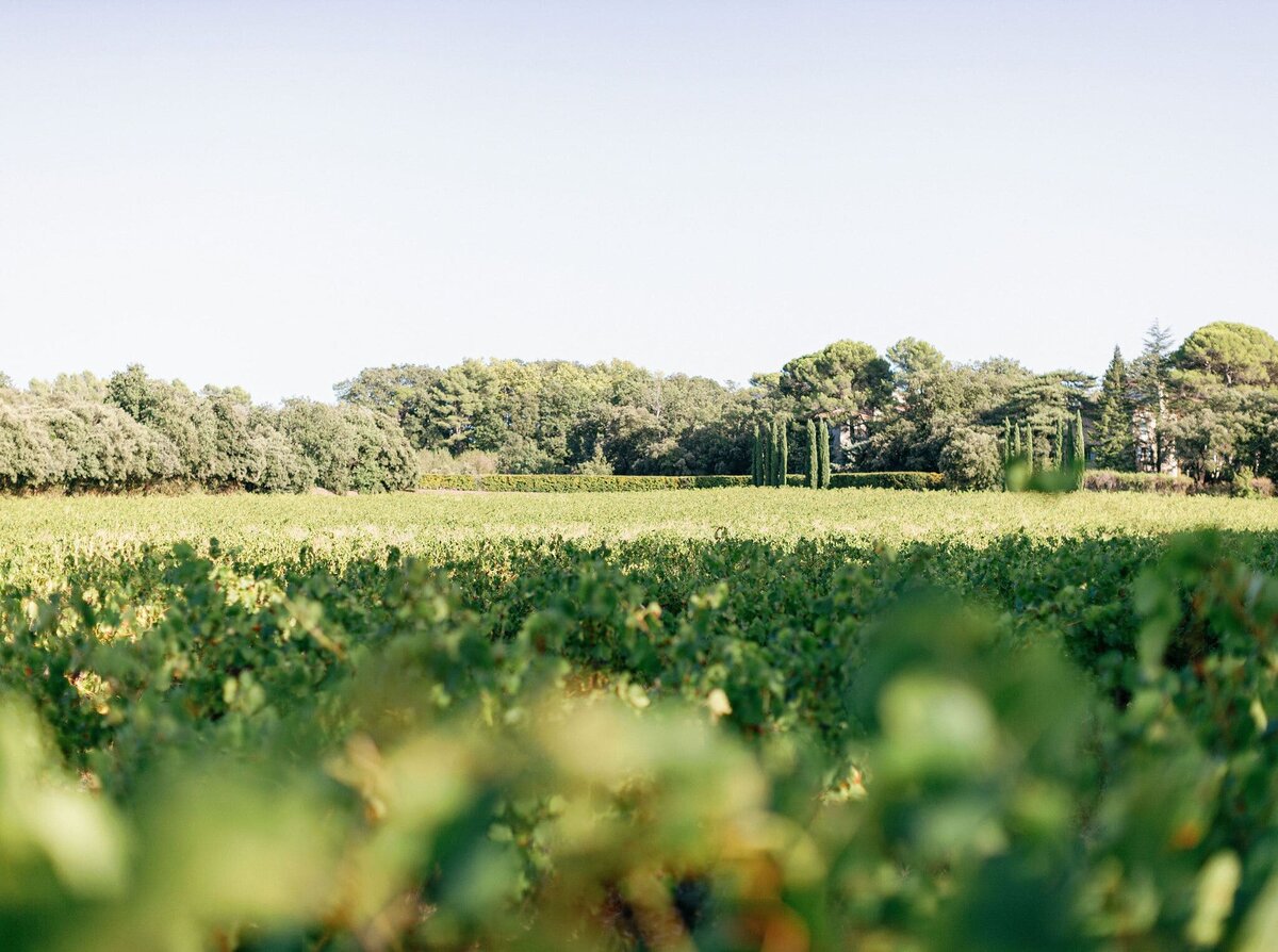 vineyards-wedding-venue-provence
