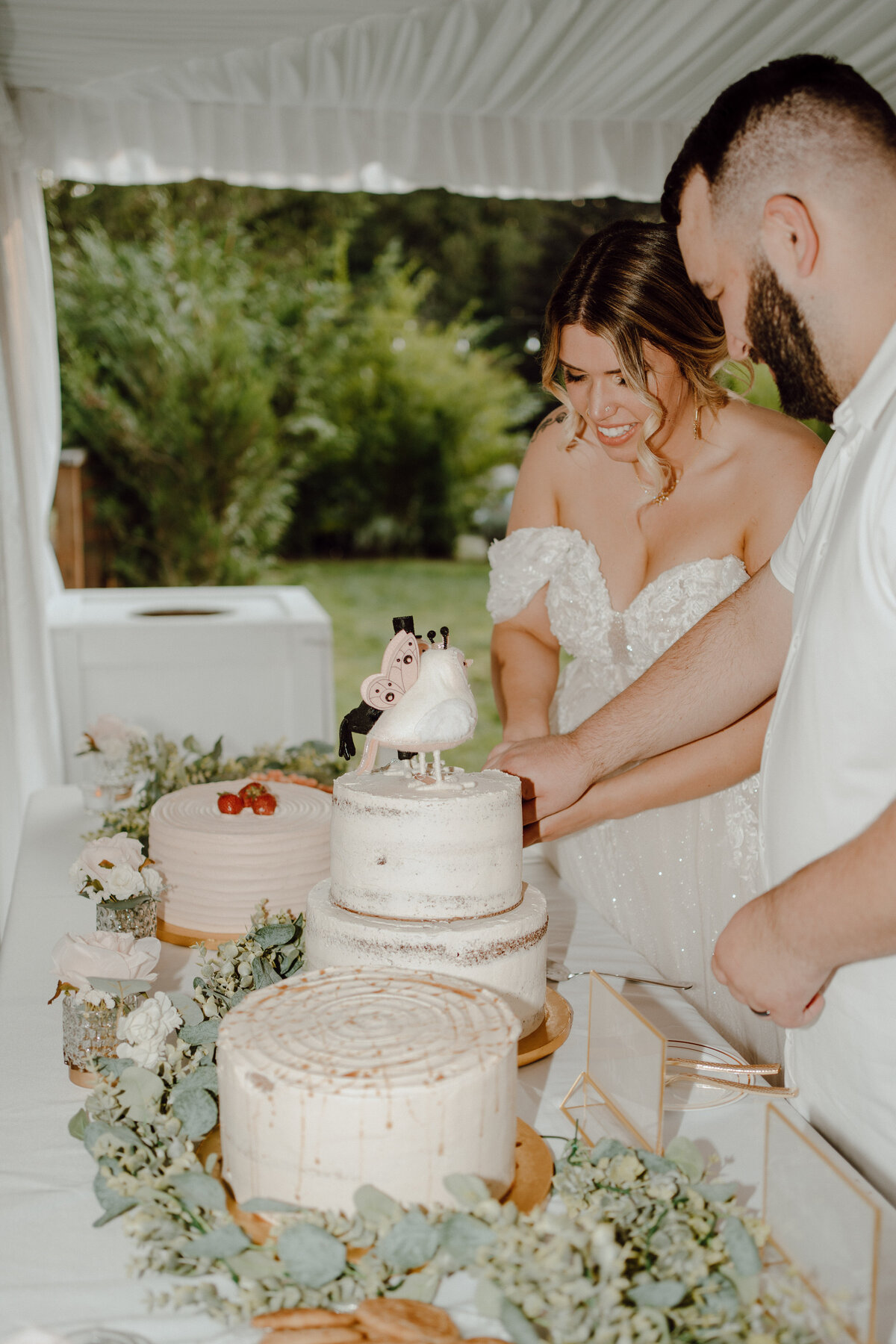 Evergreen-Meadows-Wedding-Cake-Cutting