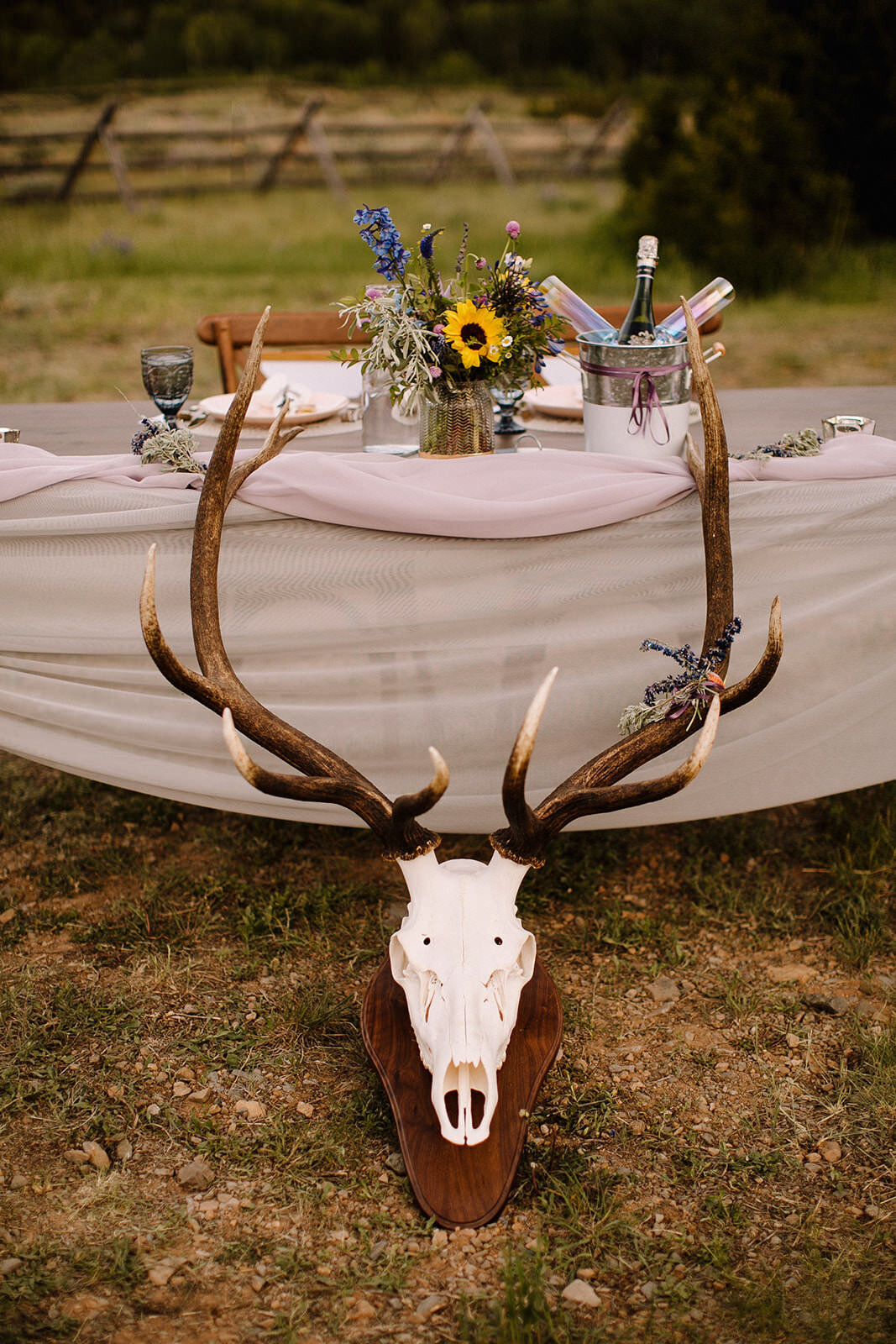 Liz Osban Photography Wyoming Wedding Photographer Cody Thermopolis Meeteetse Sheridan Big Horn Cheyenne Laramie Venue Ceremony Reception Florist Elopement Elope Best 10