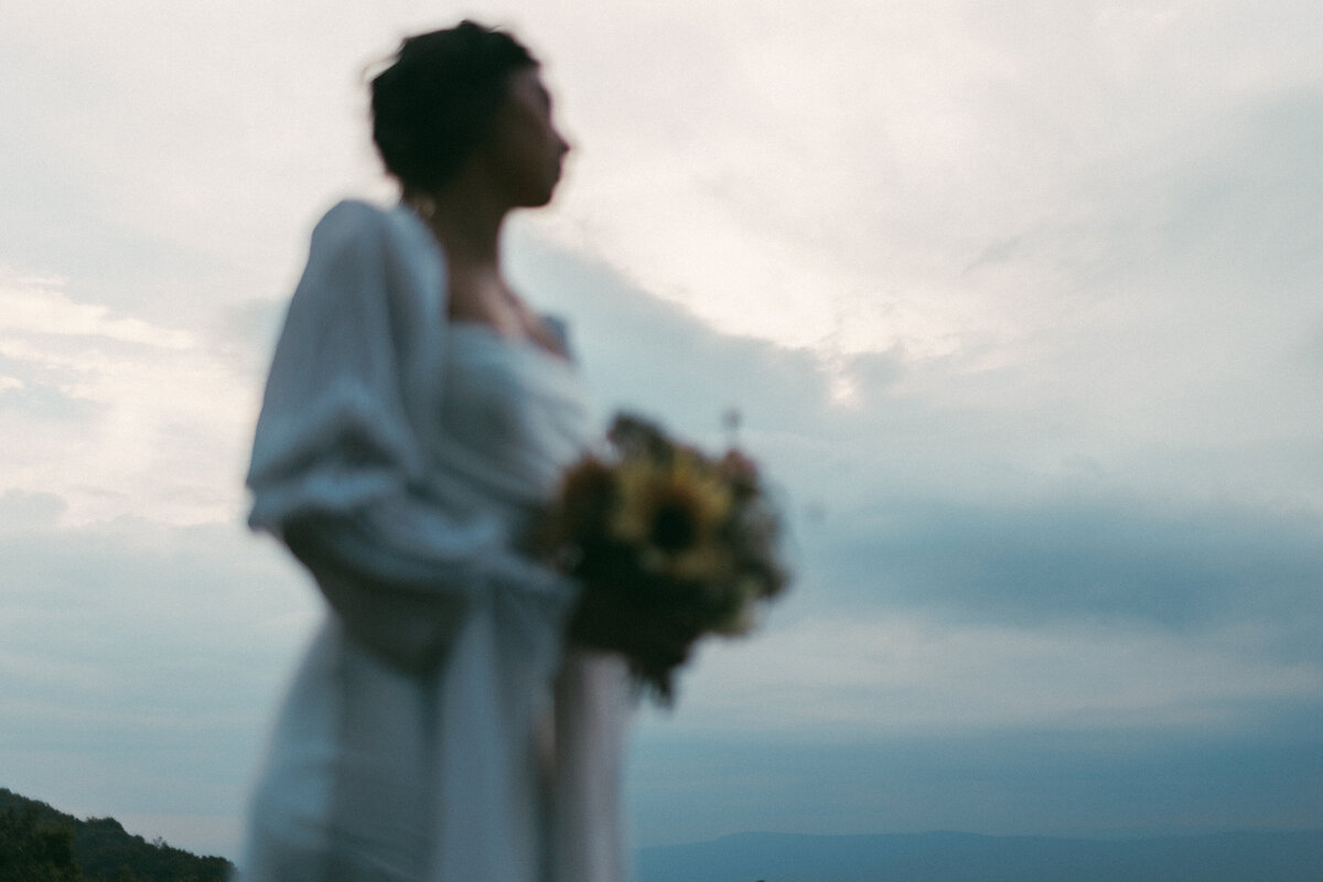charlottesville-wedding-photographer-shenandoah-national-park-bridals