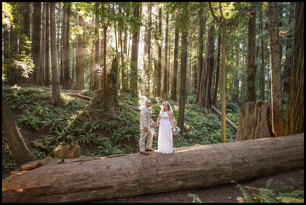 Redway-California-elopement-photographer-Parky's-Pics-Photography-redwoods-elopement--Sequoia-Park-Eureka-California-03.jpg