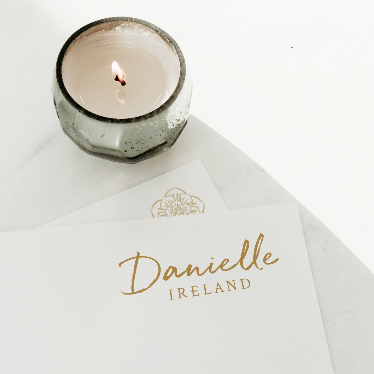 therapist, author and speaker brand design for Danielle Ireland