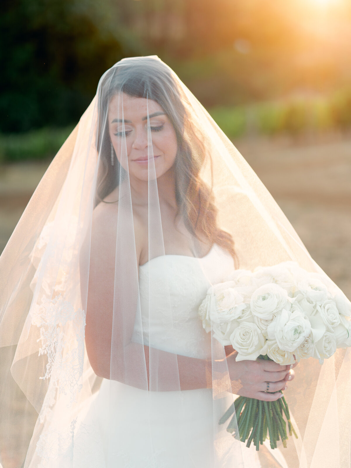 stefaniebendtphotography-549