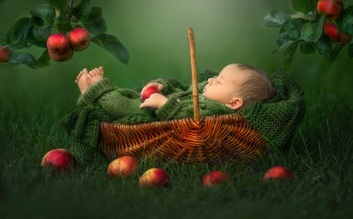 Baby boy in knitted outfit on a green knitted blanket laying in a basket surrounded by red apples under a tree..