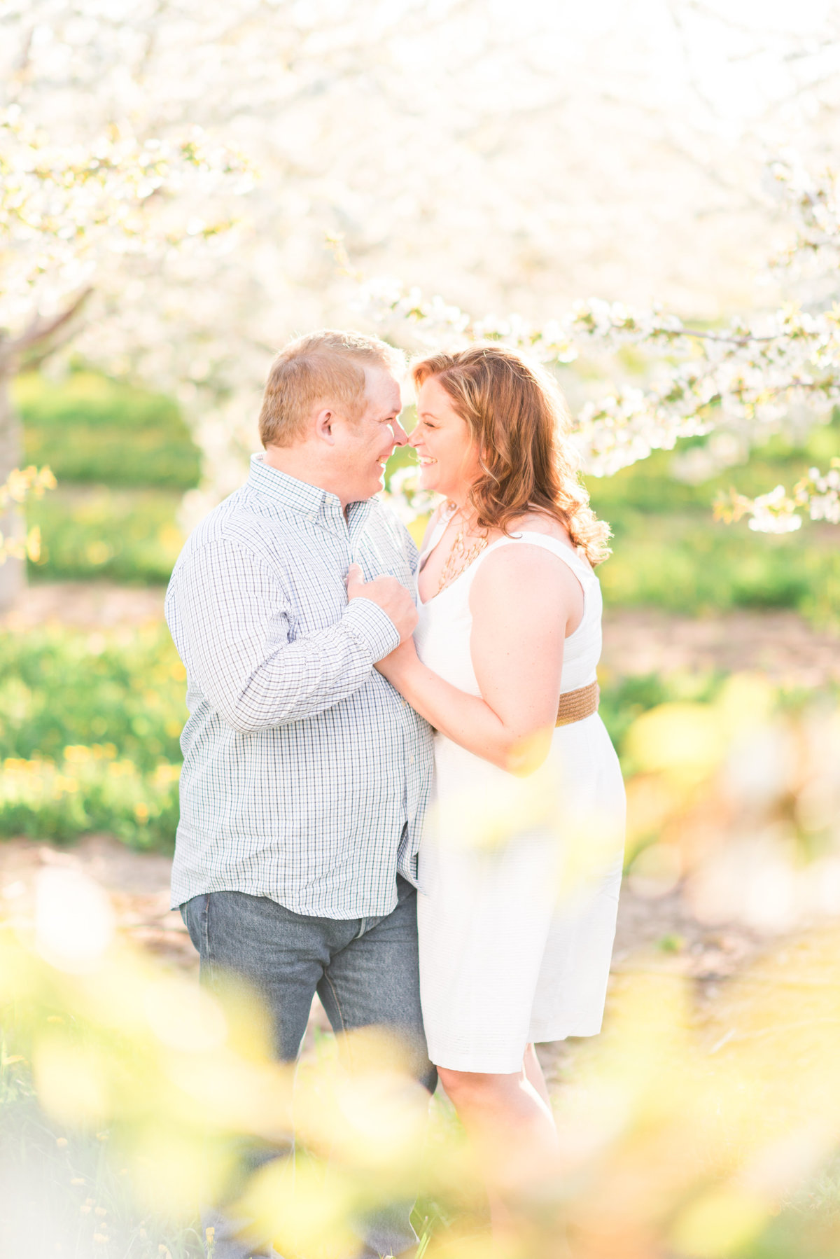 cherry blossom orchard engagement pictures in northern michigan
