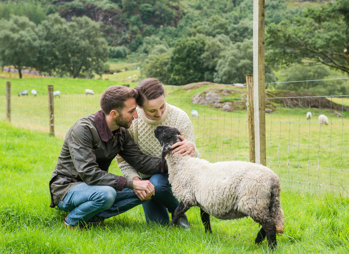 Young couple in outdoor clothes looking at a sheep in a field